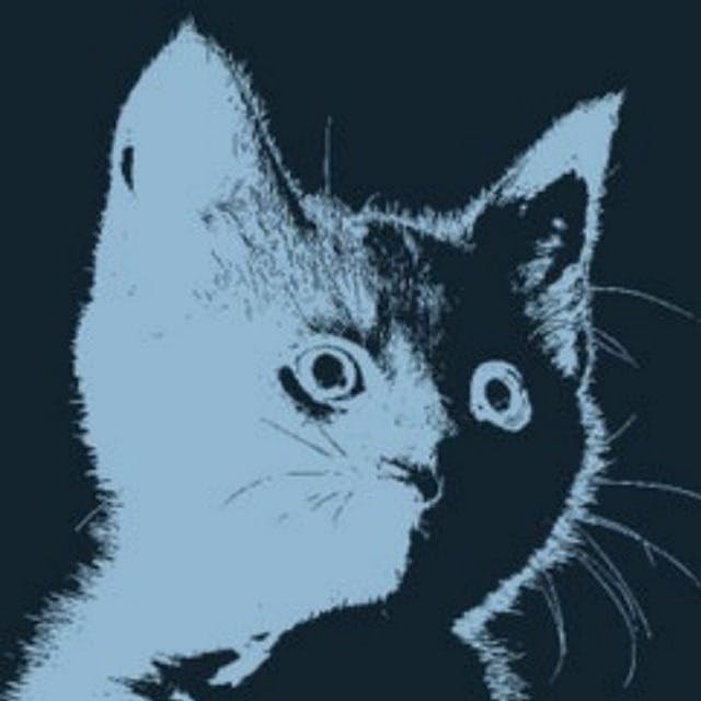 user avatar image for Cat or Bat
