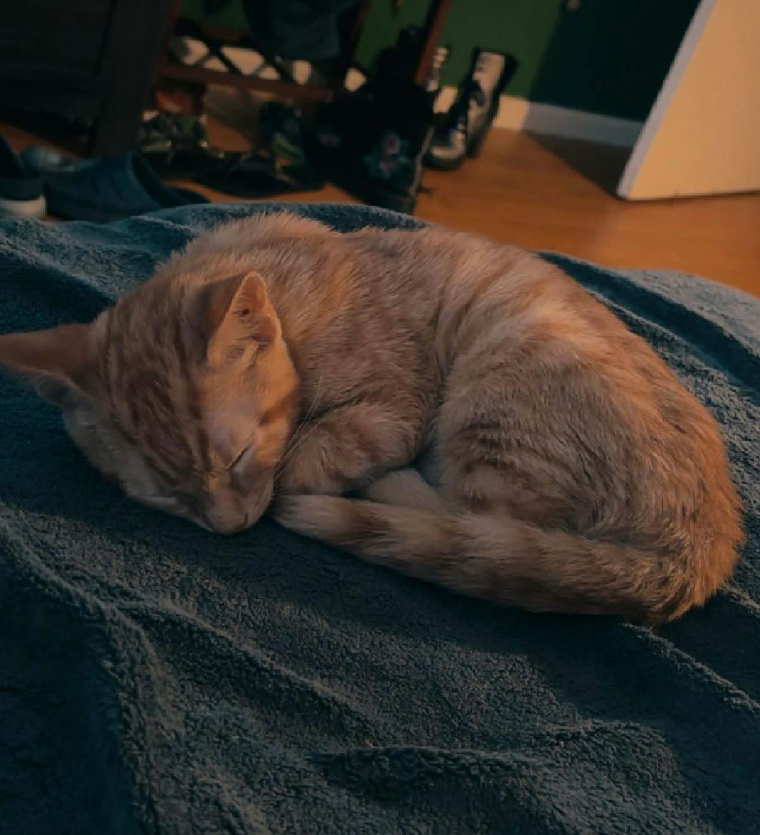 user avatar image for M A X X