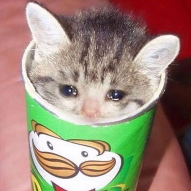 user avatar image for March