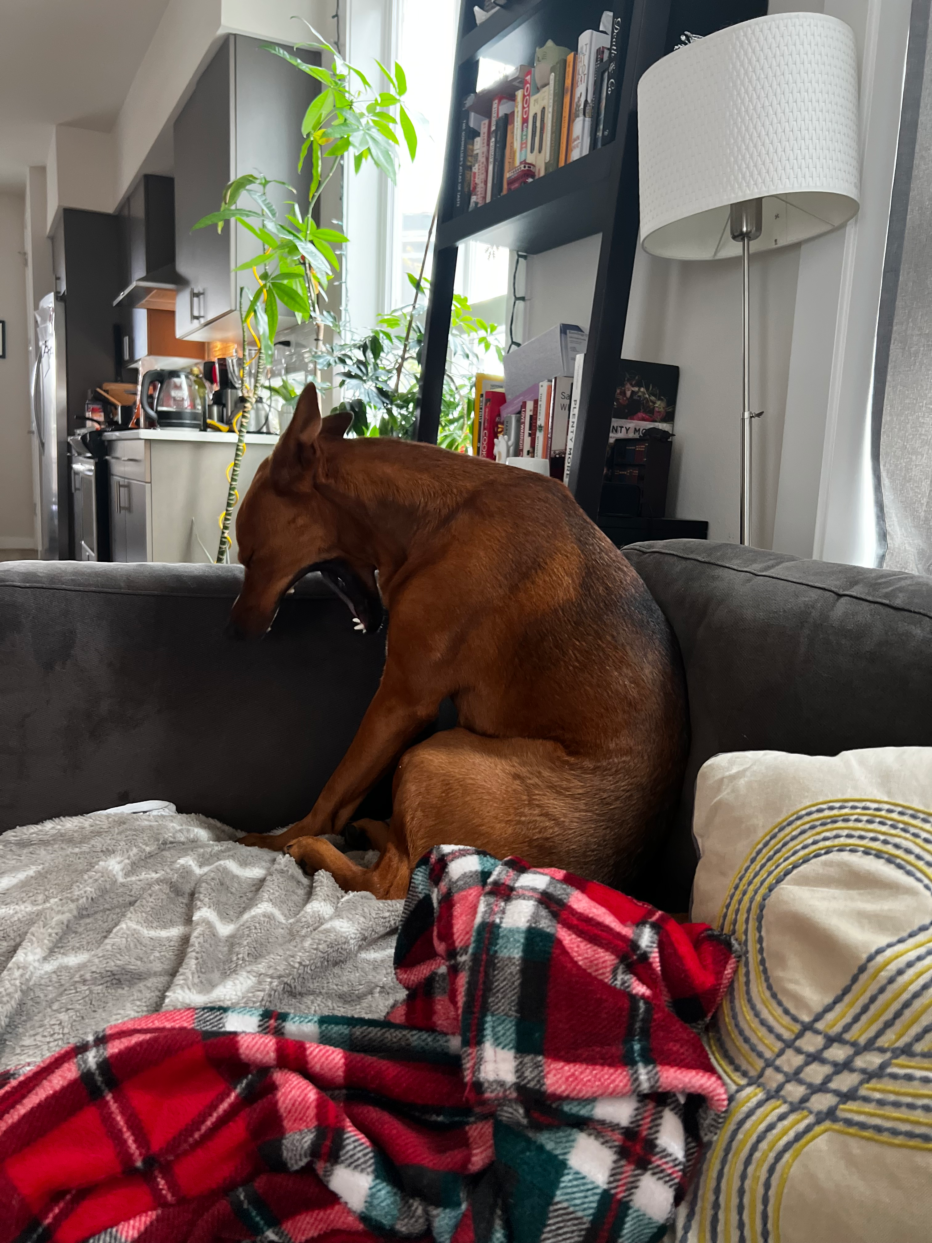 user avatar image for AndrewP