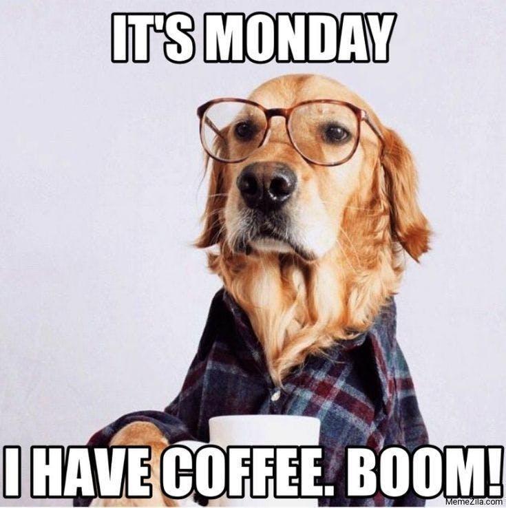 user avatar image for The Meeple Report