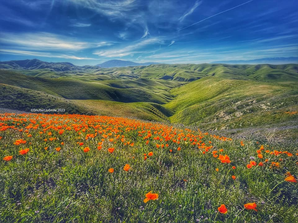 user avatar image for Kenna