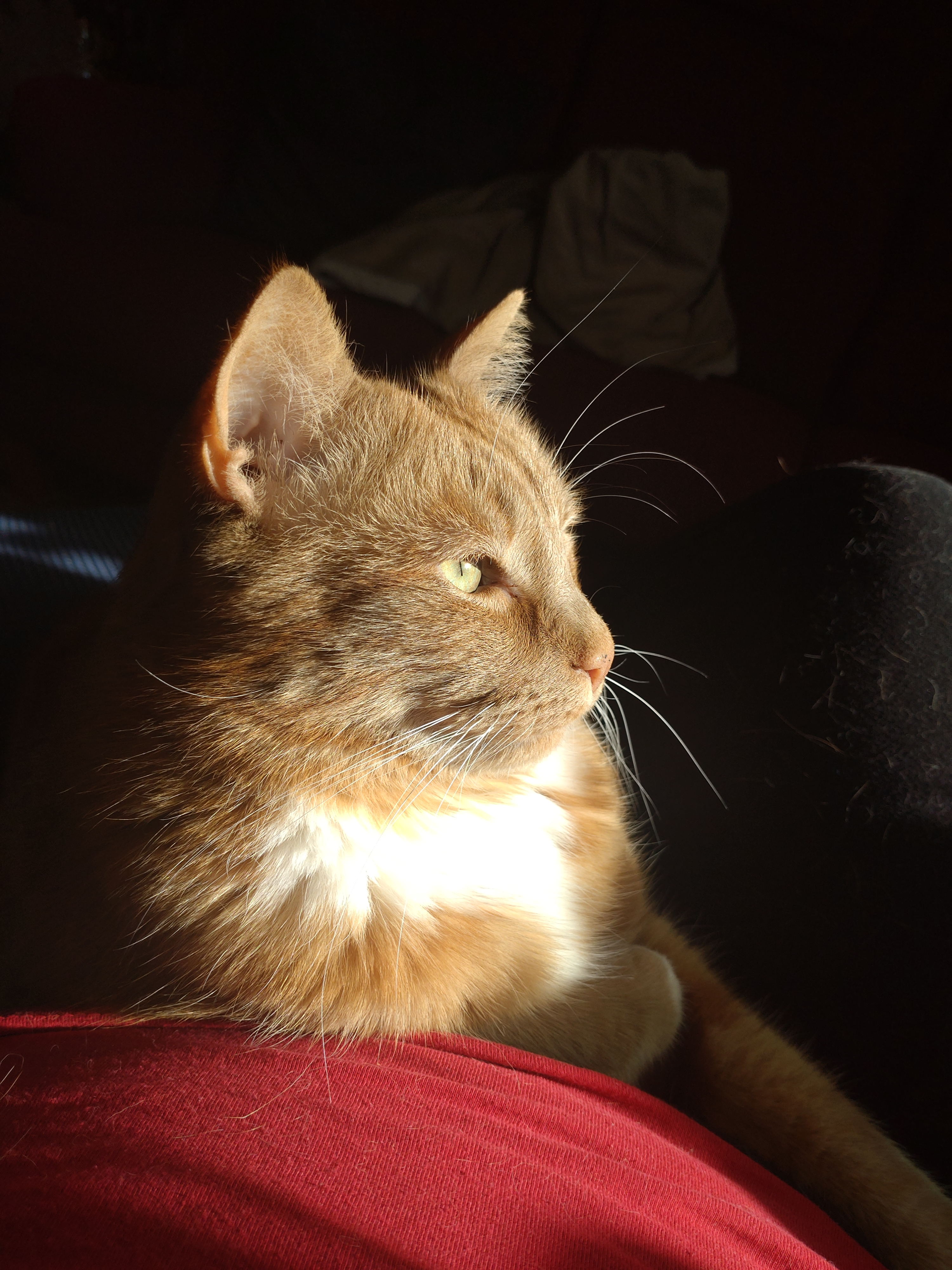 user avatar image for Ellinor Claesson