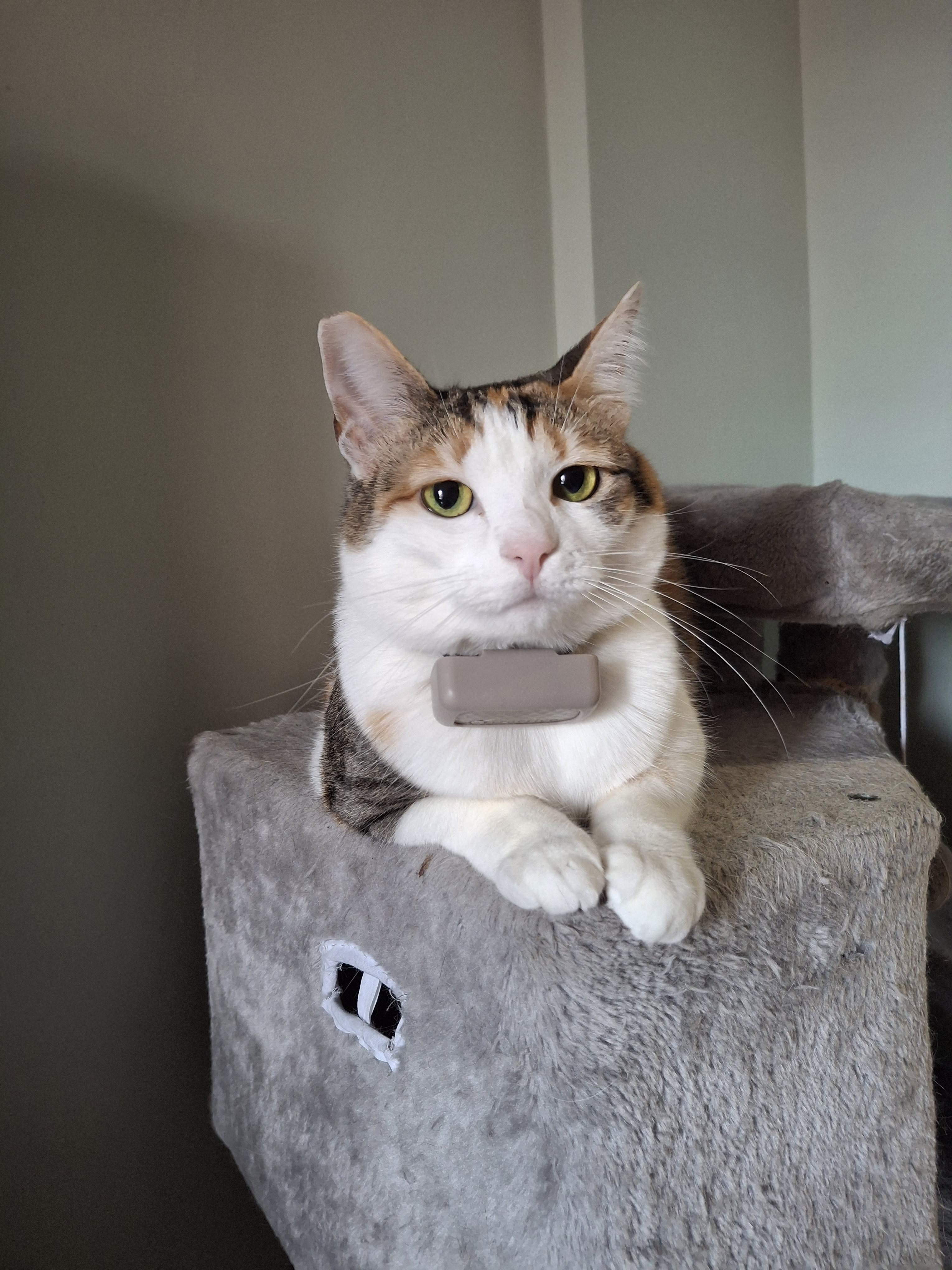 user avatar image for daisy