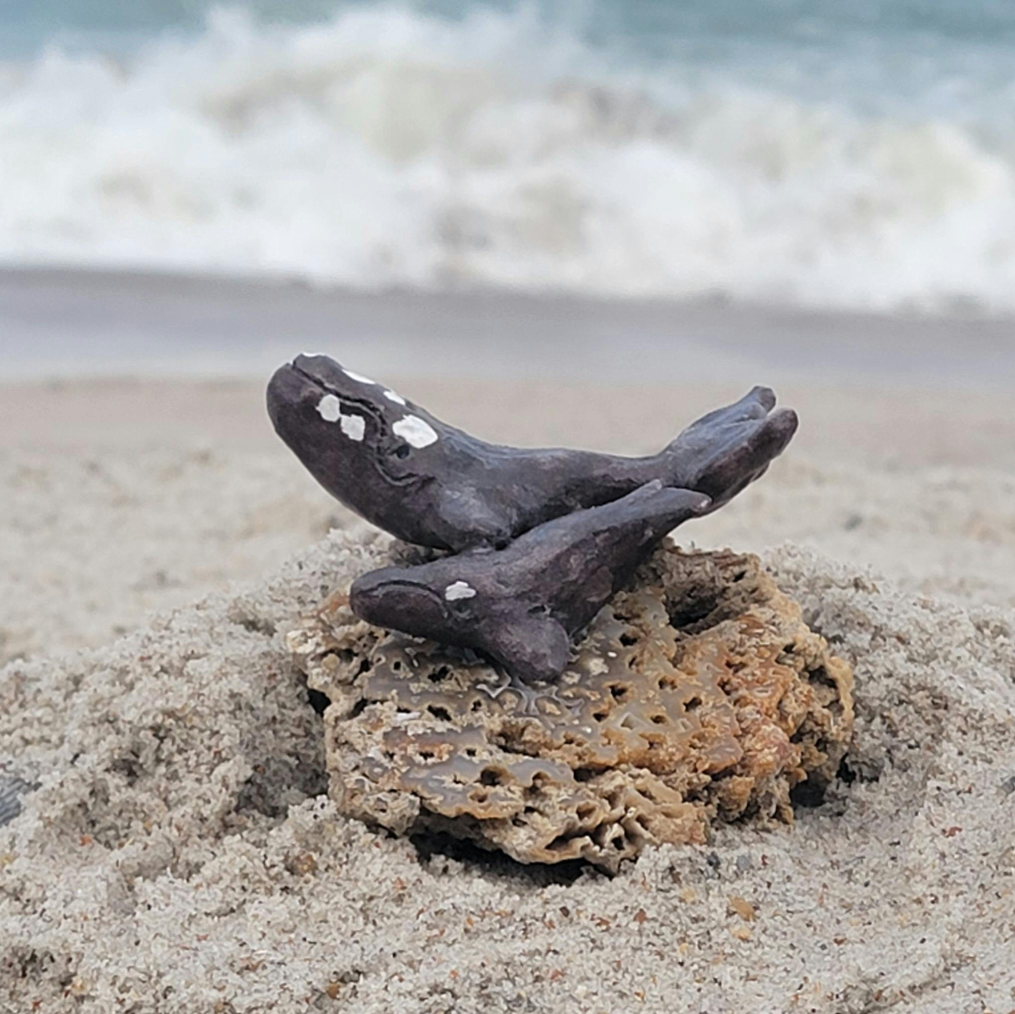 Right whale mom and baby pair fossilized coral