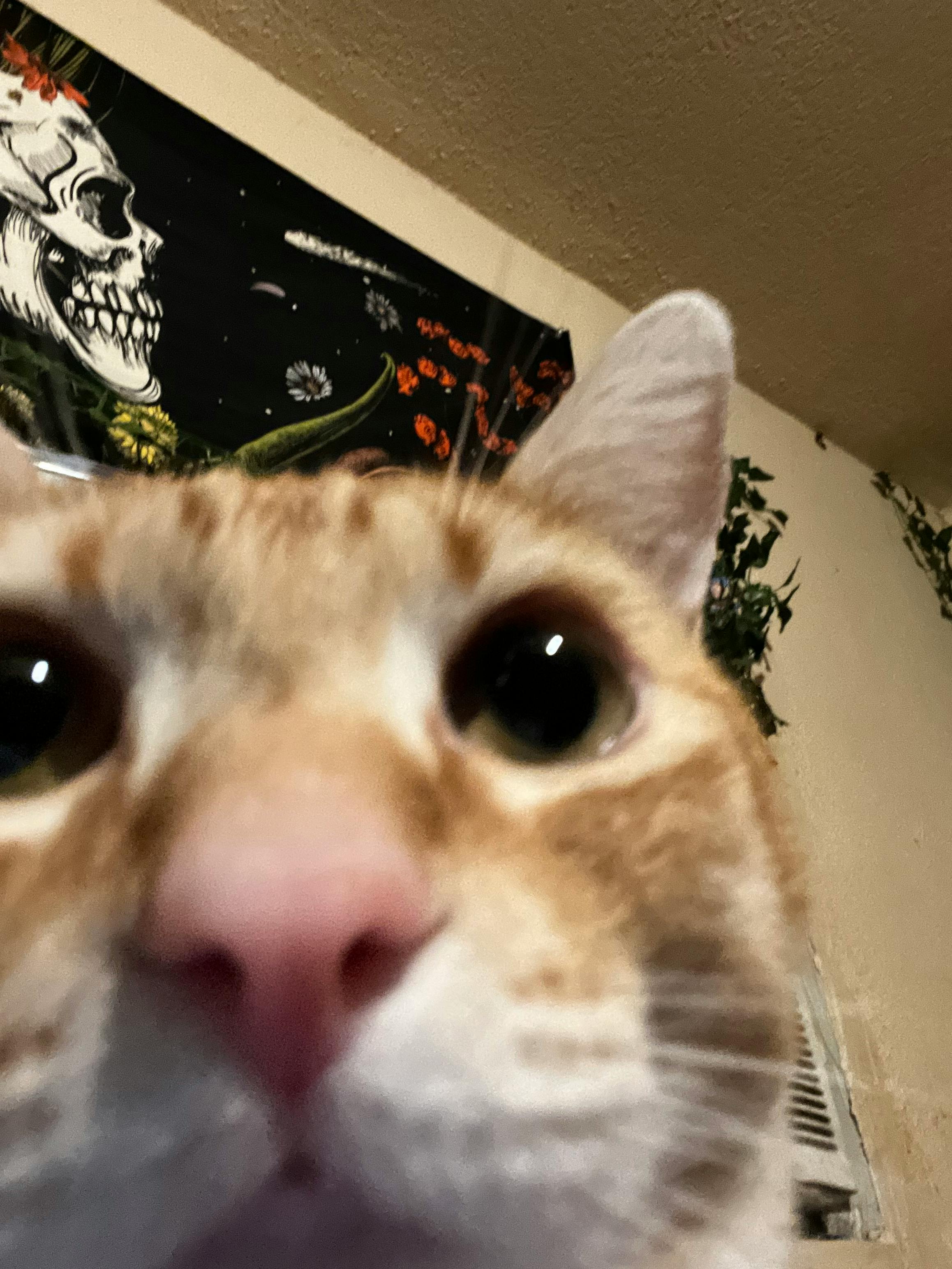 user avatar image for Yoana