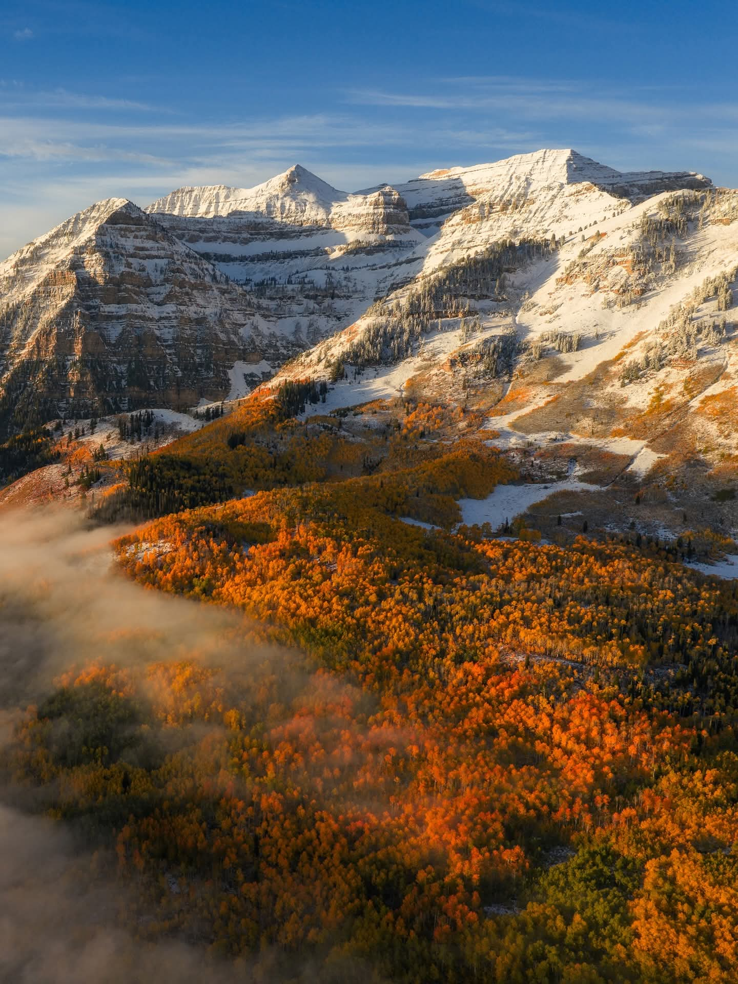 user avatar image for Neal