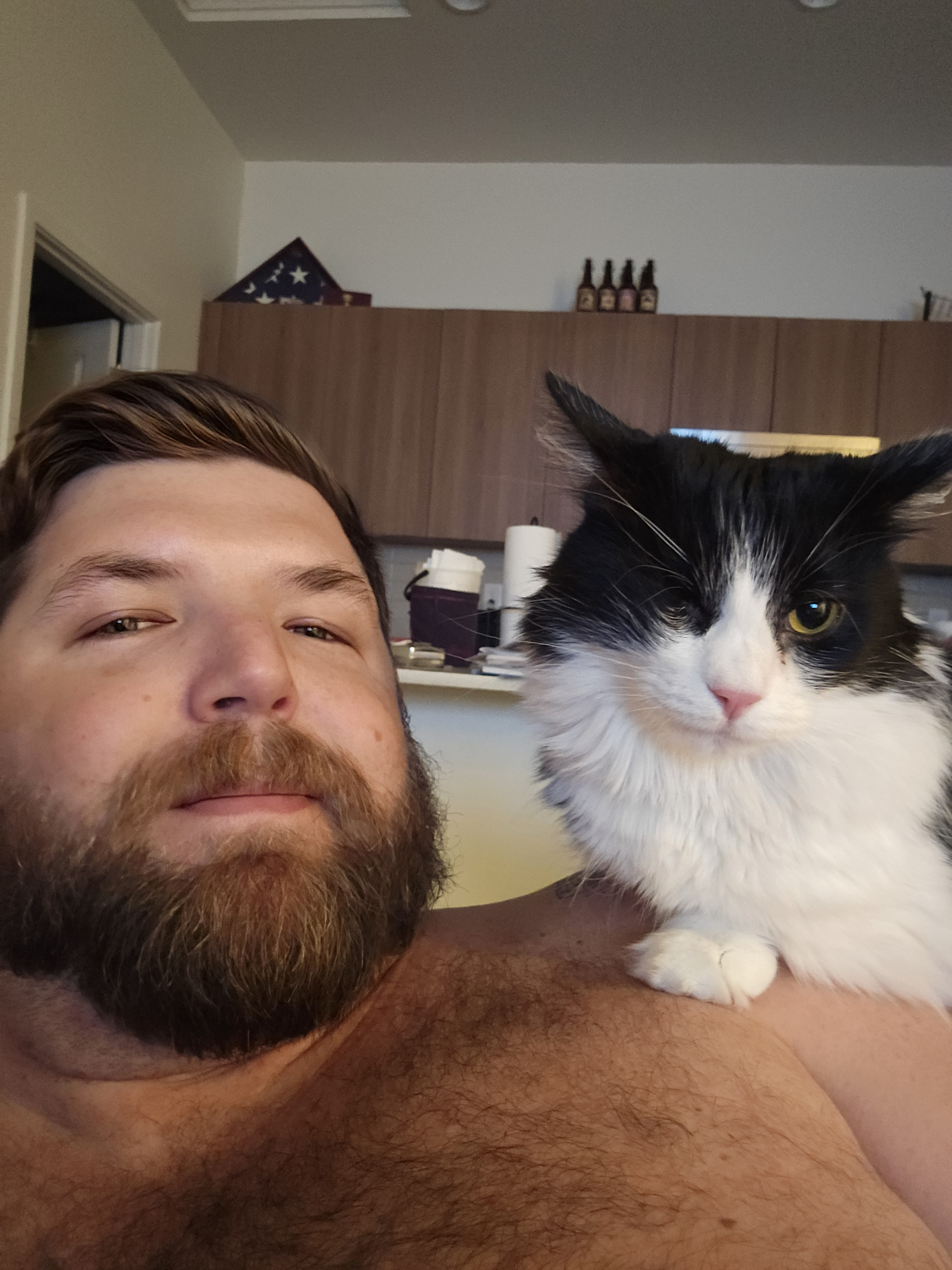 user avatar image for NUBS
