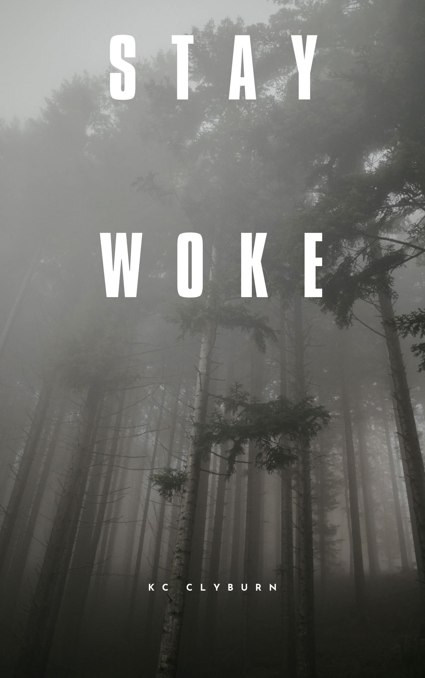 STAY WOKE --- A psychological thriller