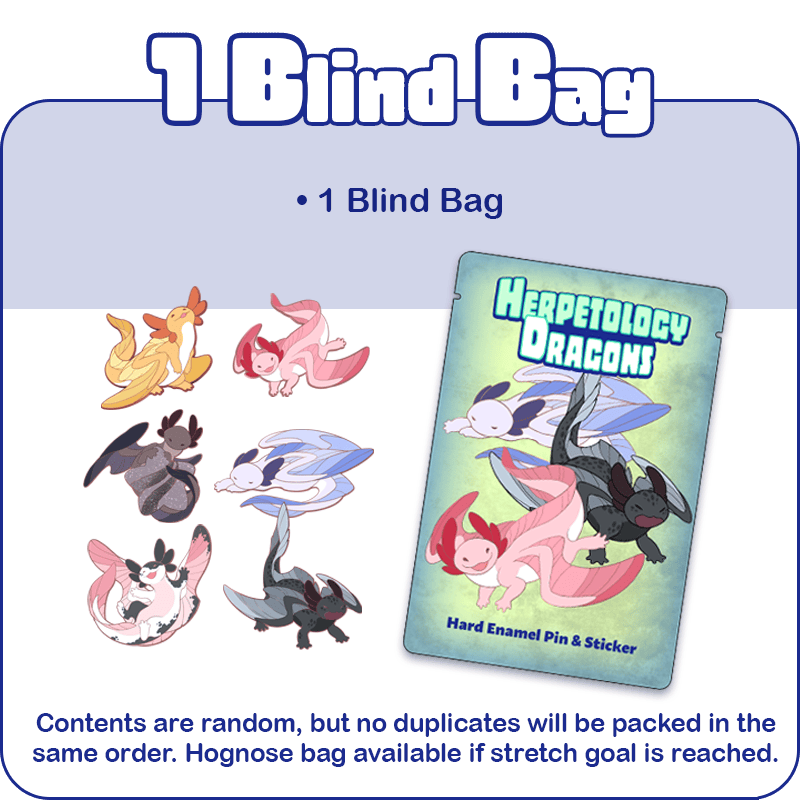 1 Blind Bag