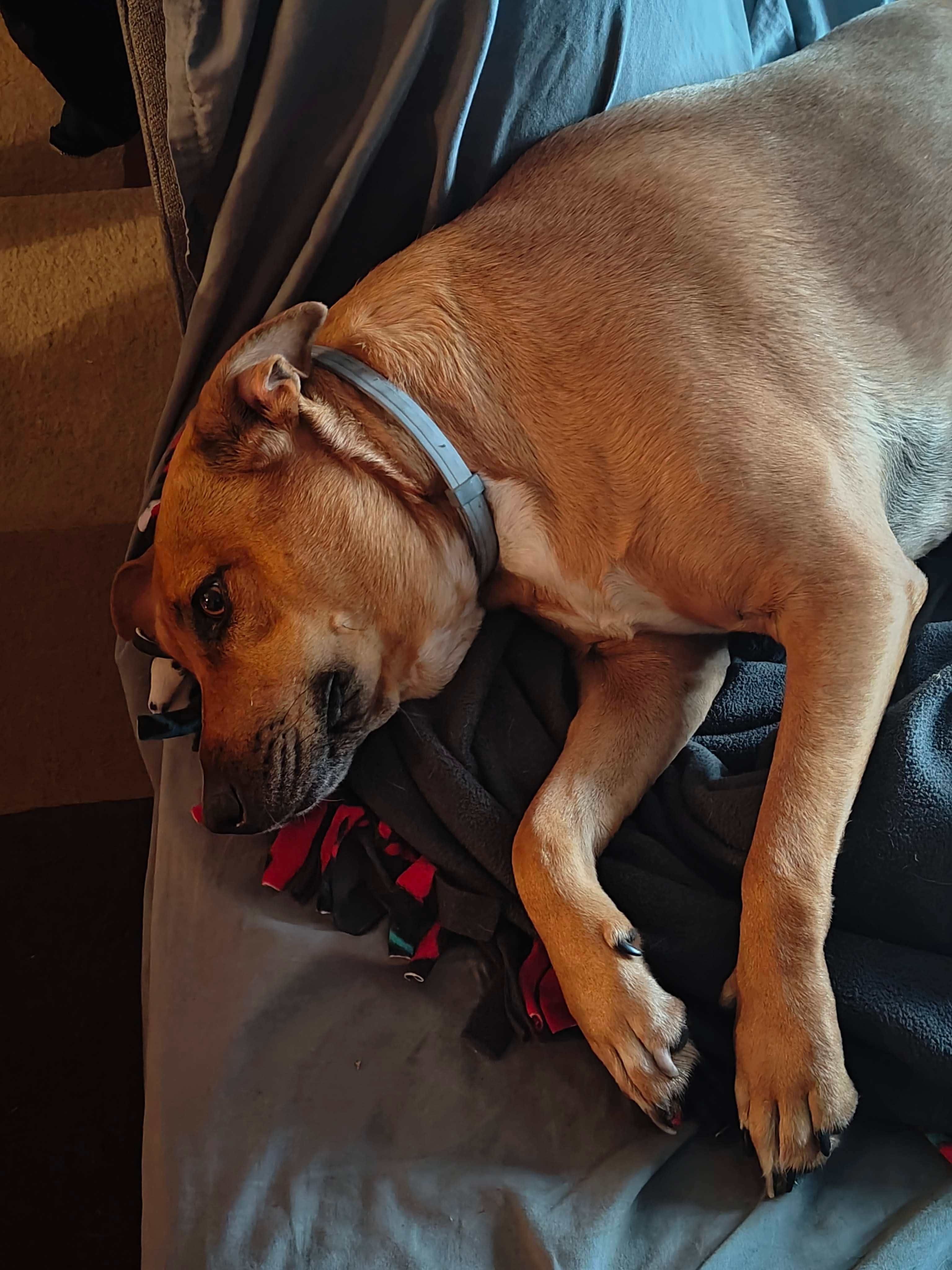 user avatar image for Zul