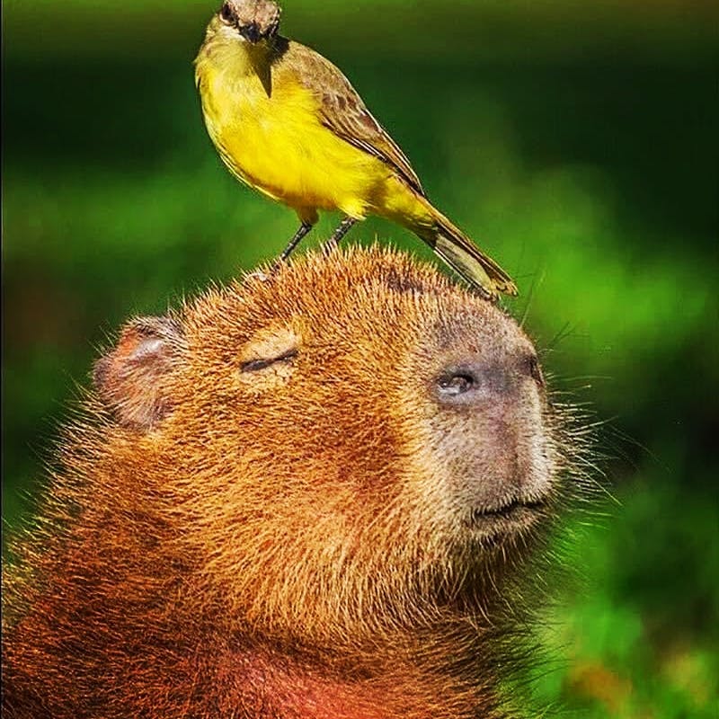 user avatar image for Harrison Ehrlich