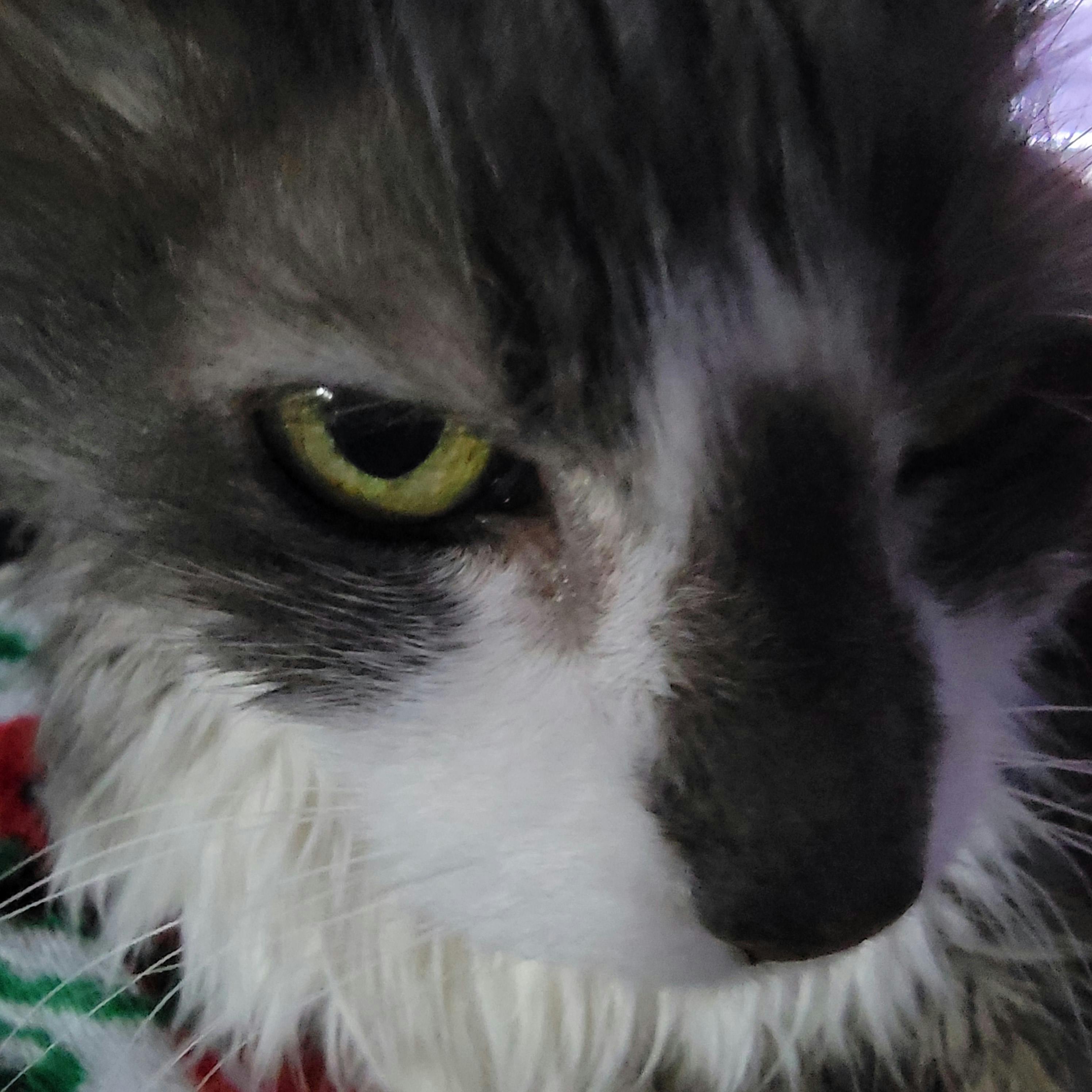 user avatar image for Darrin Wlock