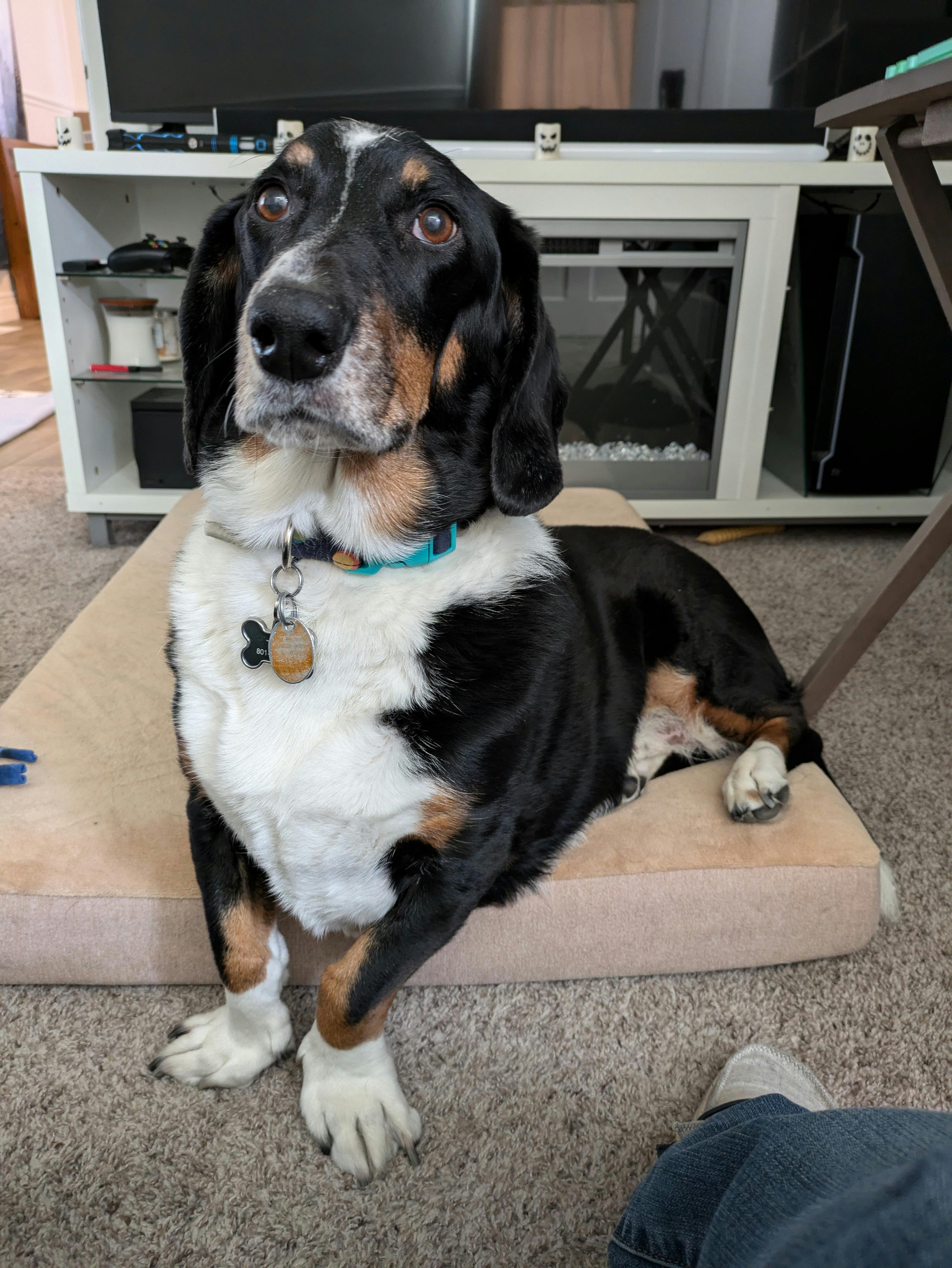 user avatar image for Kiaya