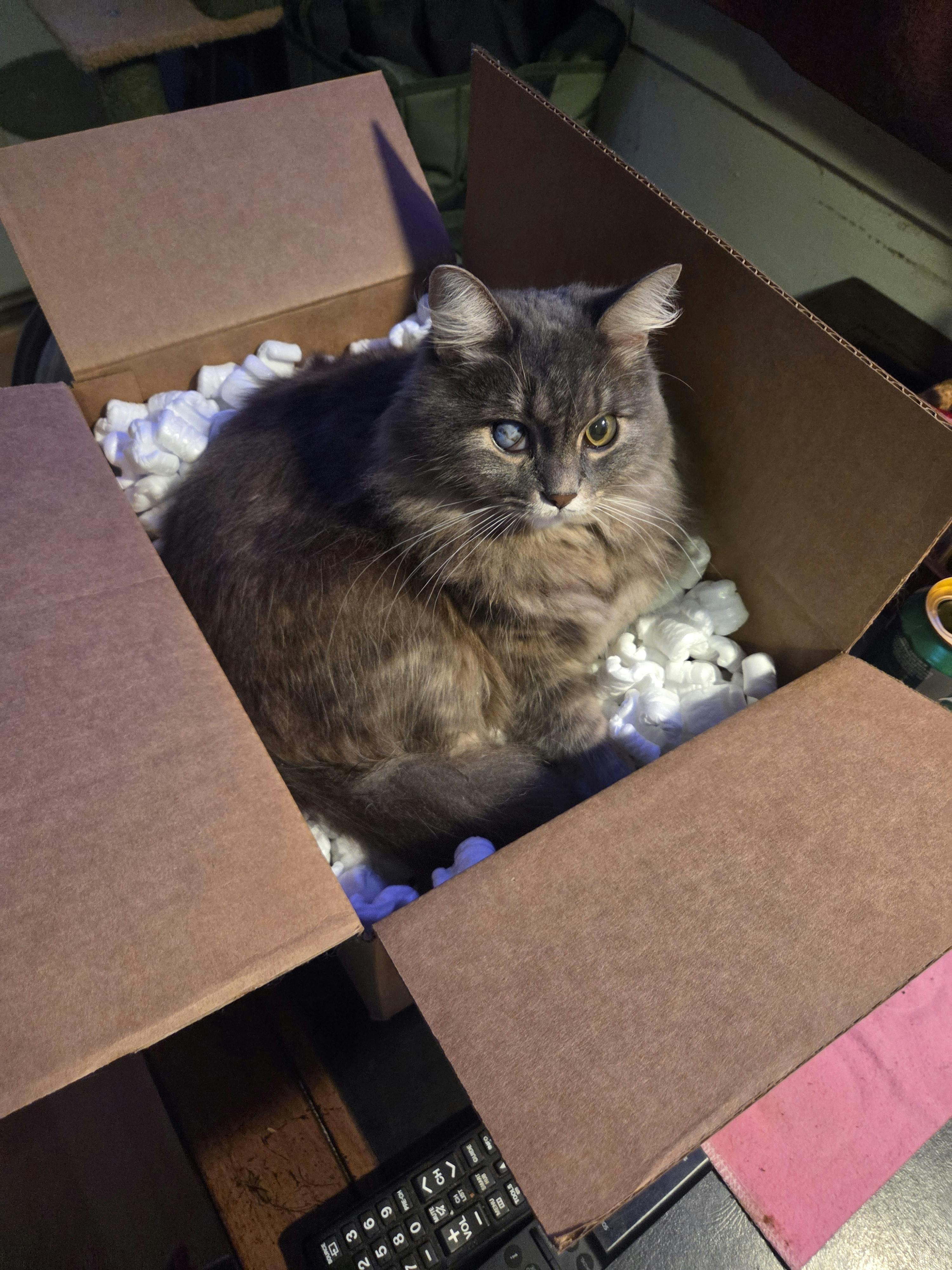 user avatar image for Jamieson Mockel