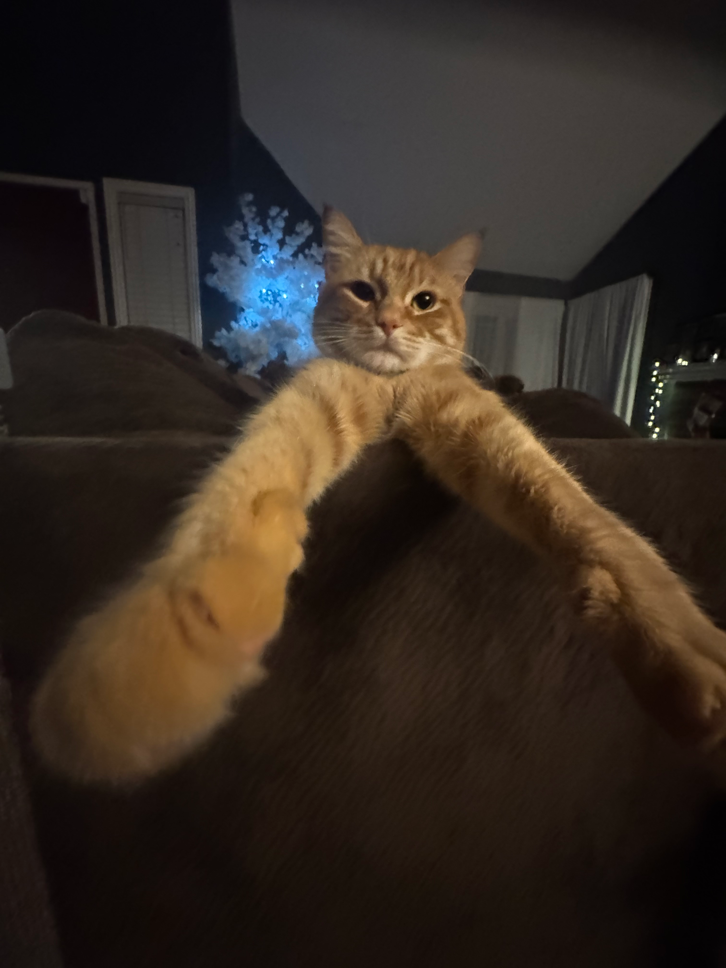 user avatar image for Ian