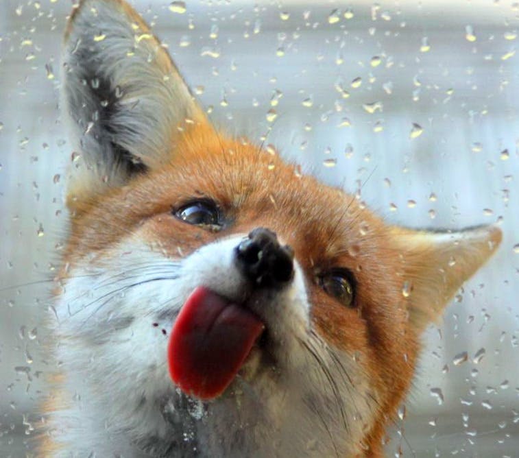 user avatar image for DC