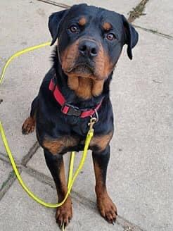 user avatar image for PolarCloud