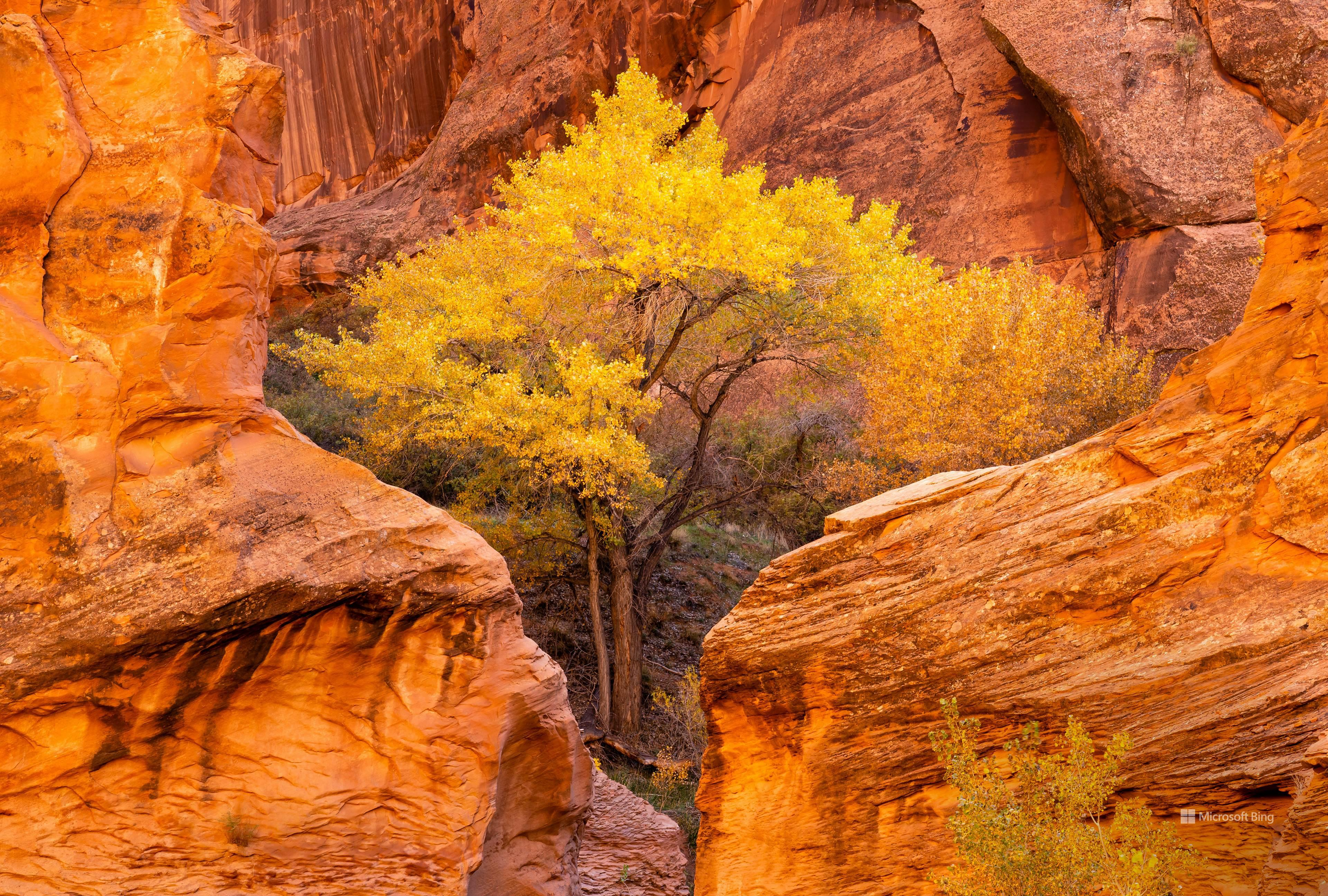 user avatar image for Brian P