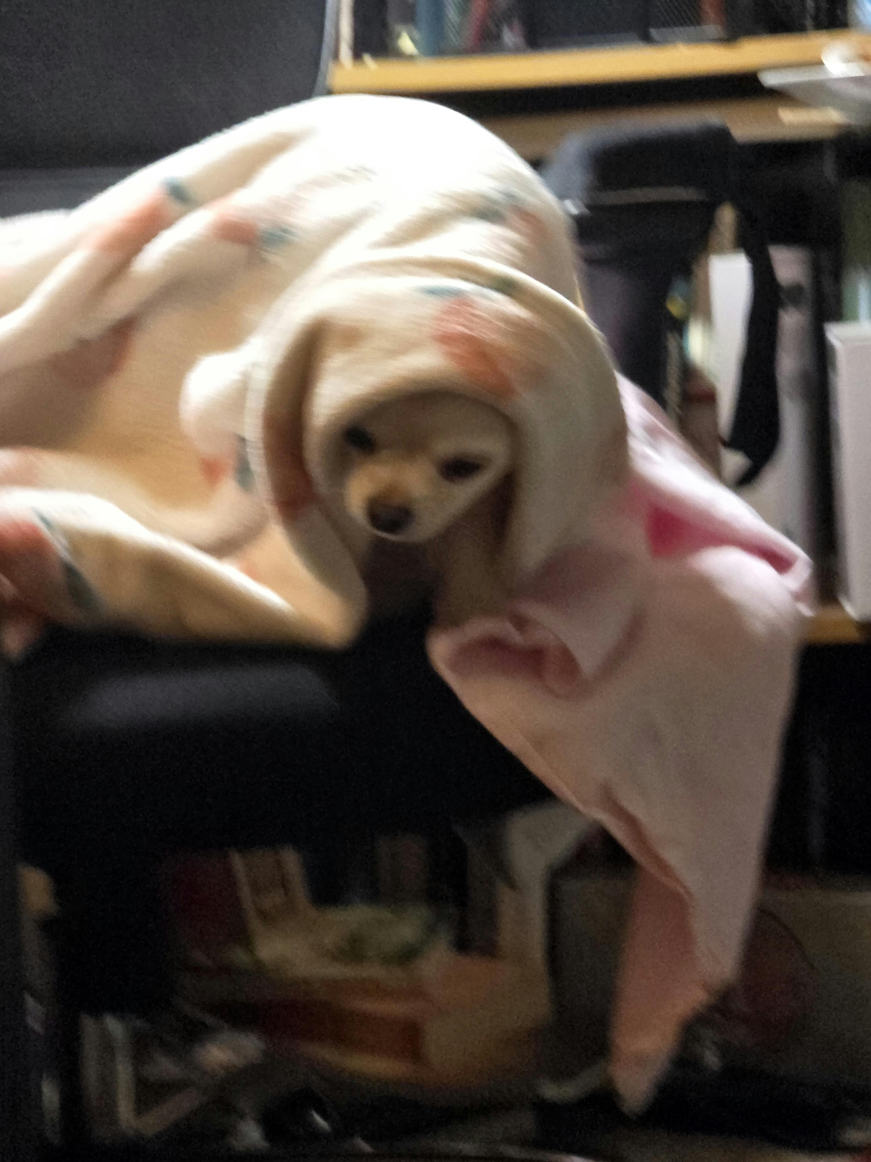 user avatar image for Skywiselene 