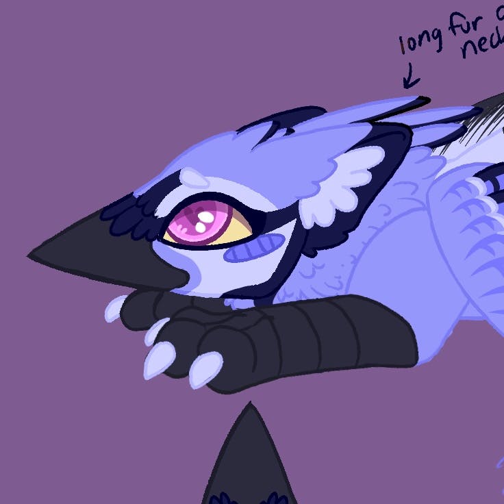 Blue Jay Striped Hyena