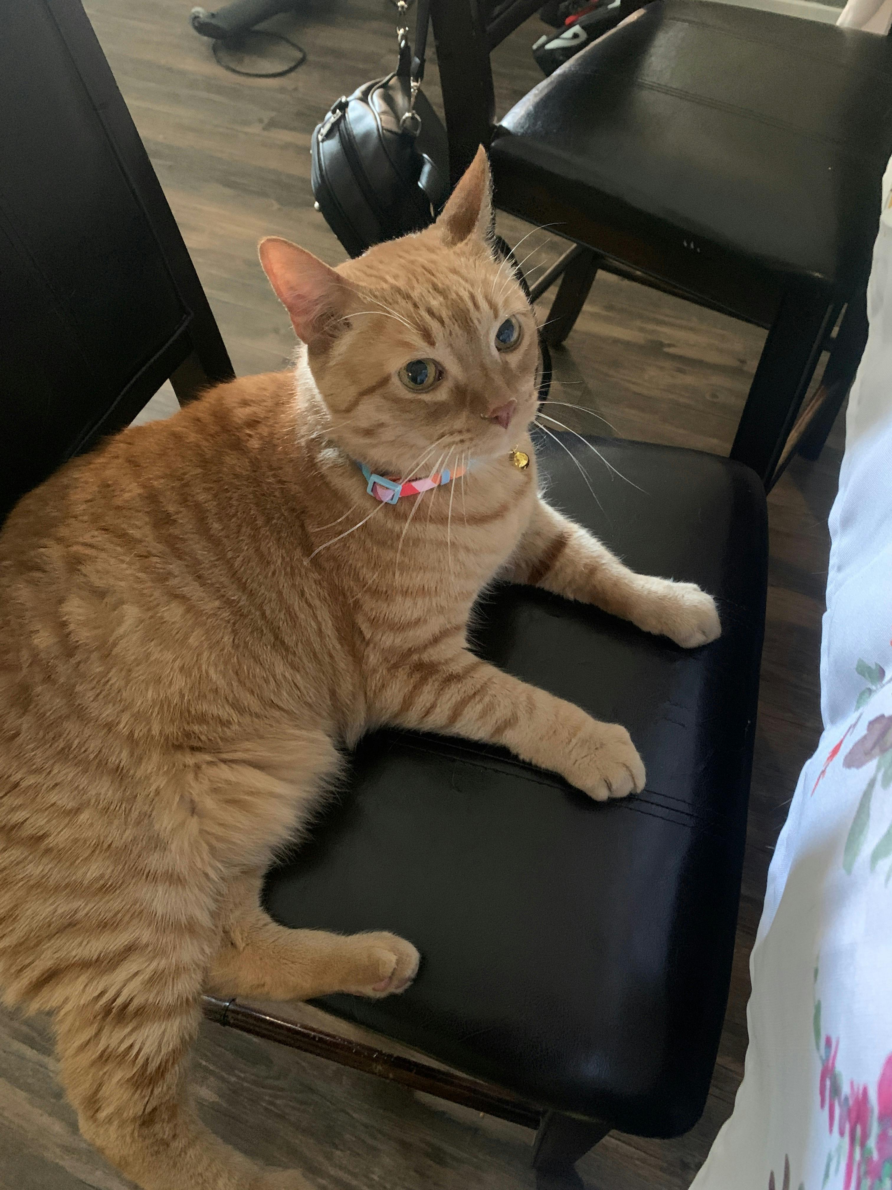 user avatar image for Noah Najera