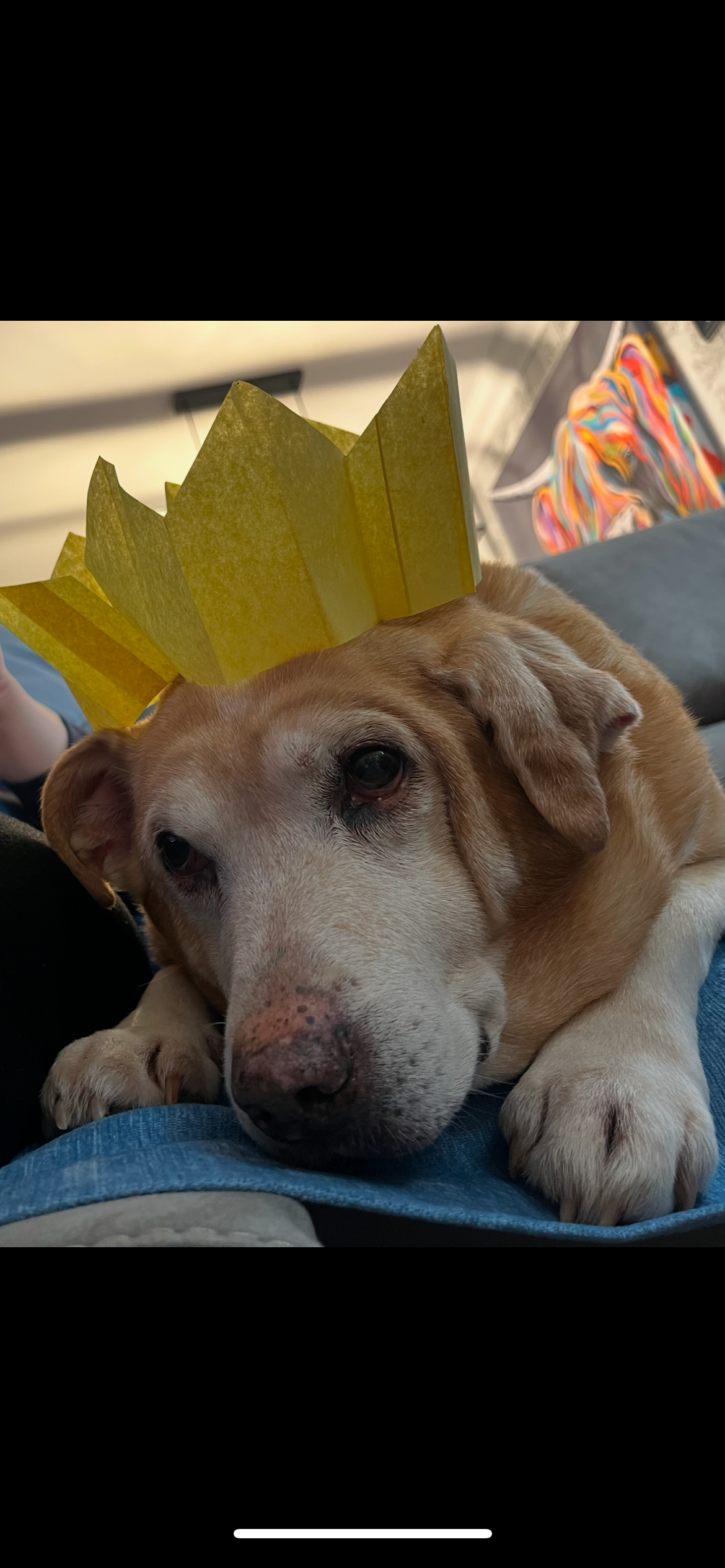 user avatar image for Josh Paterson