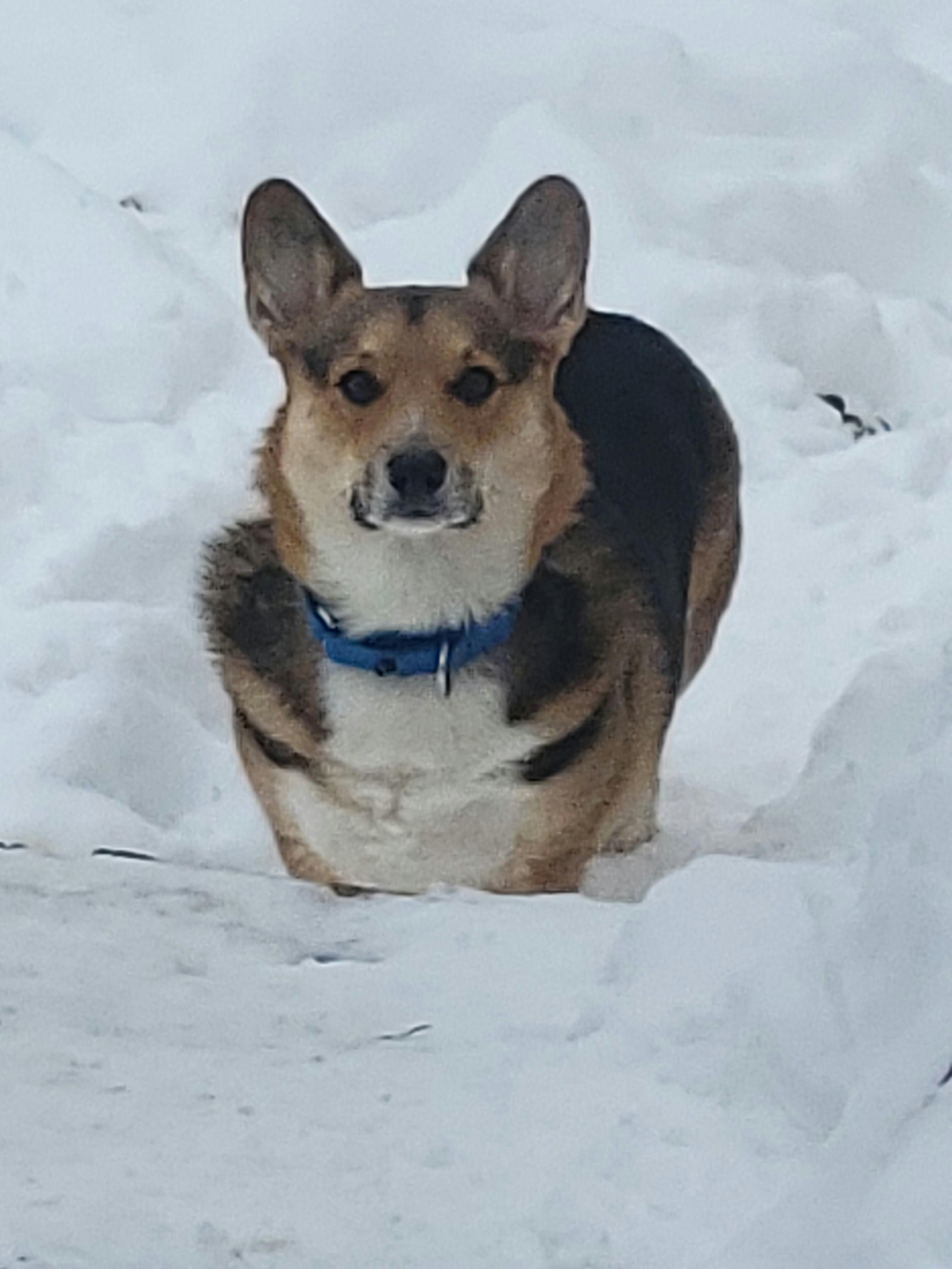 user avatar image for Max