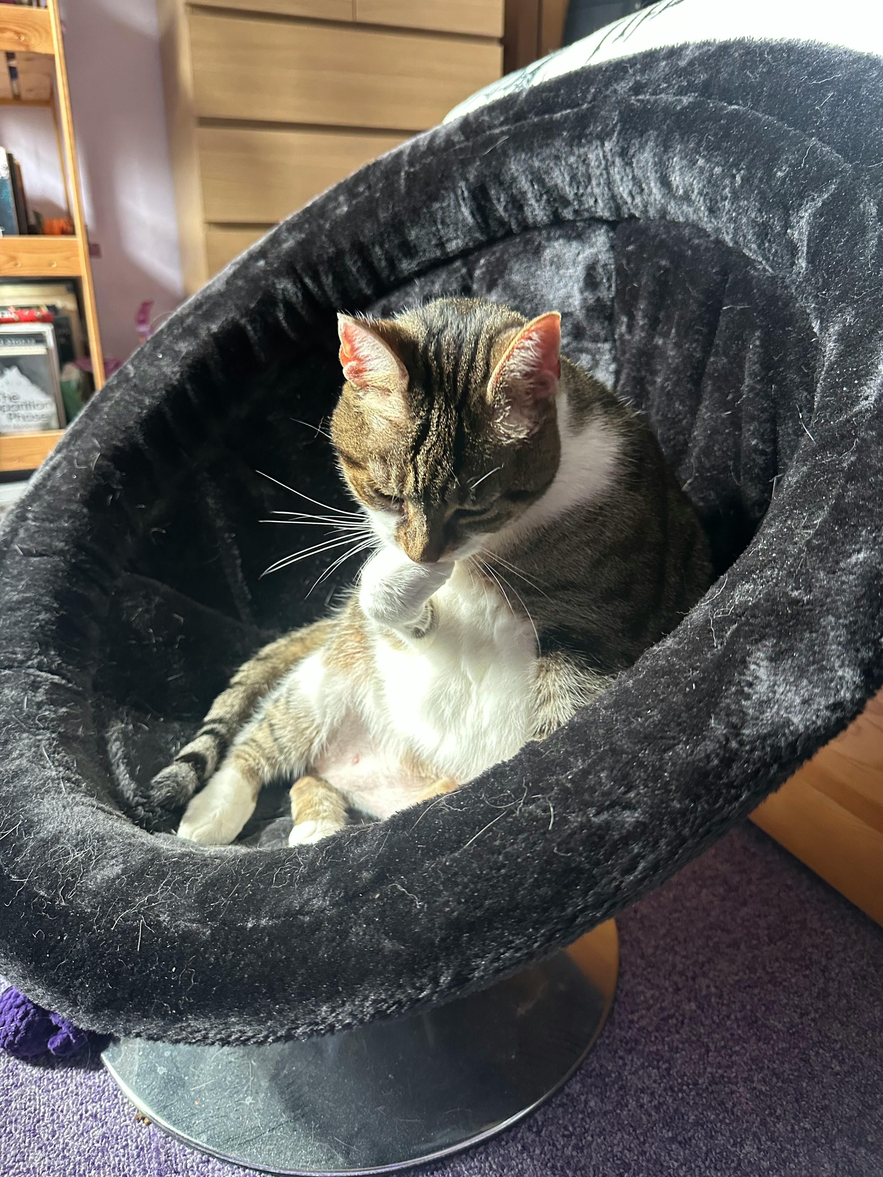 user avatar image for Elaine