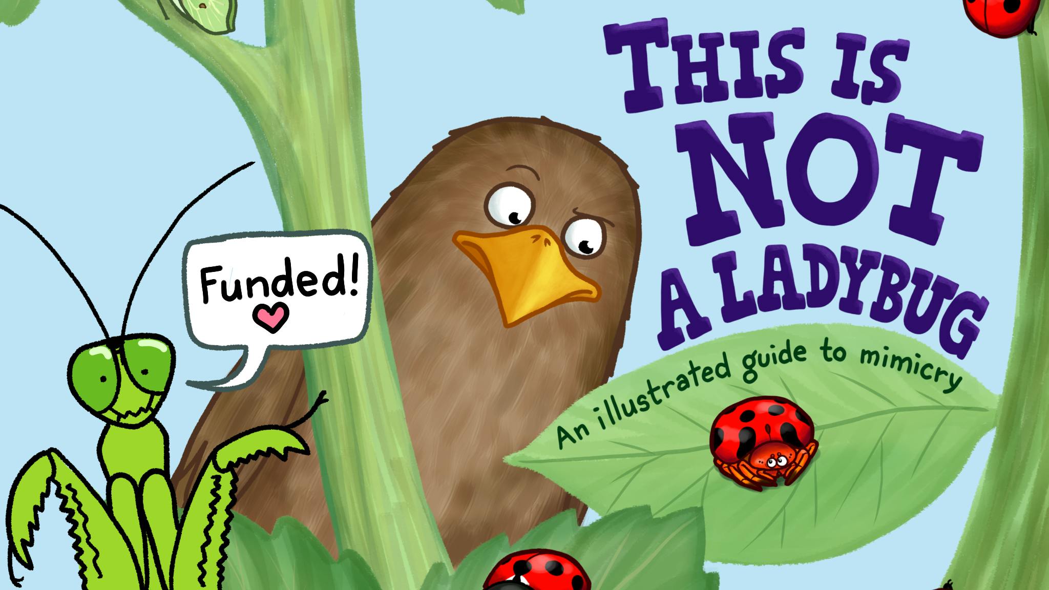 This Is Not A Ladybug: An Illustrated Guide to Mimicry