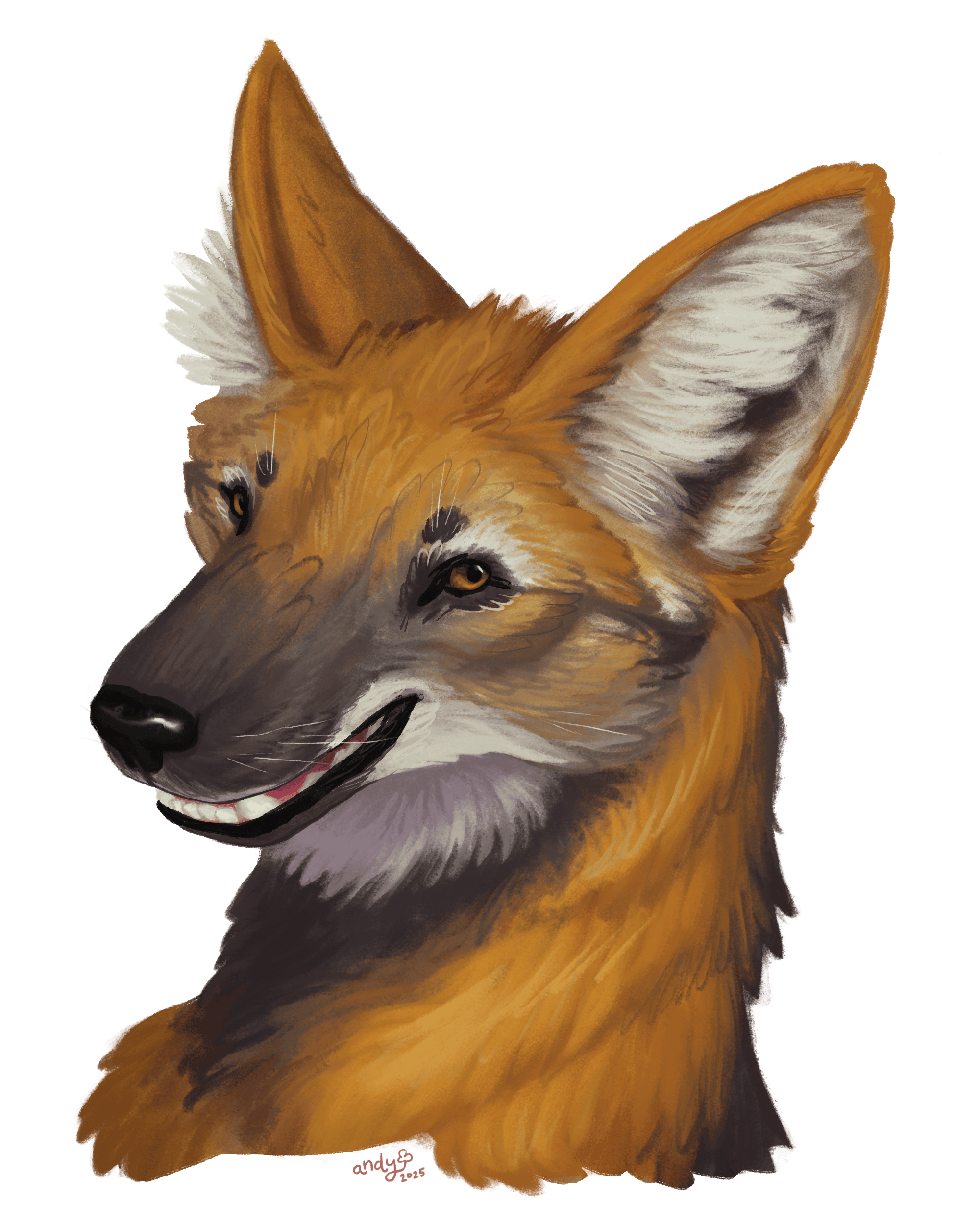 user avatar image for Nico