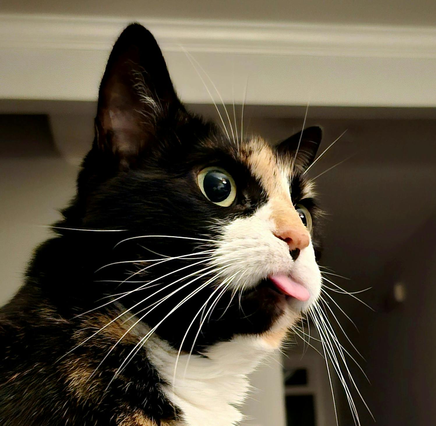 user avatar image for Katrina 