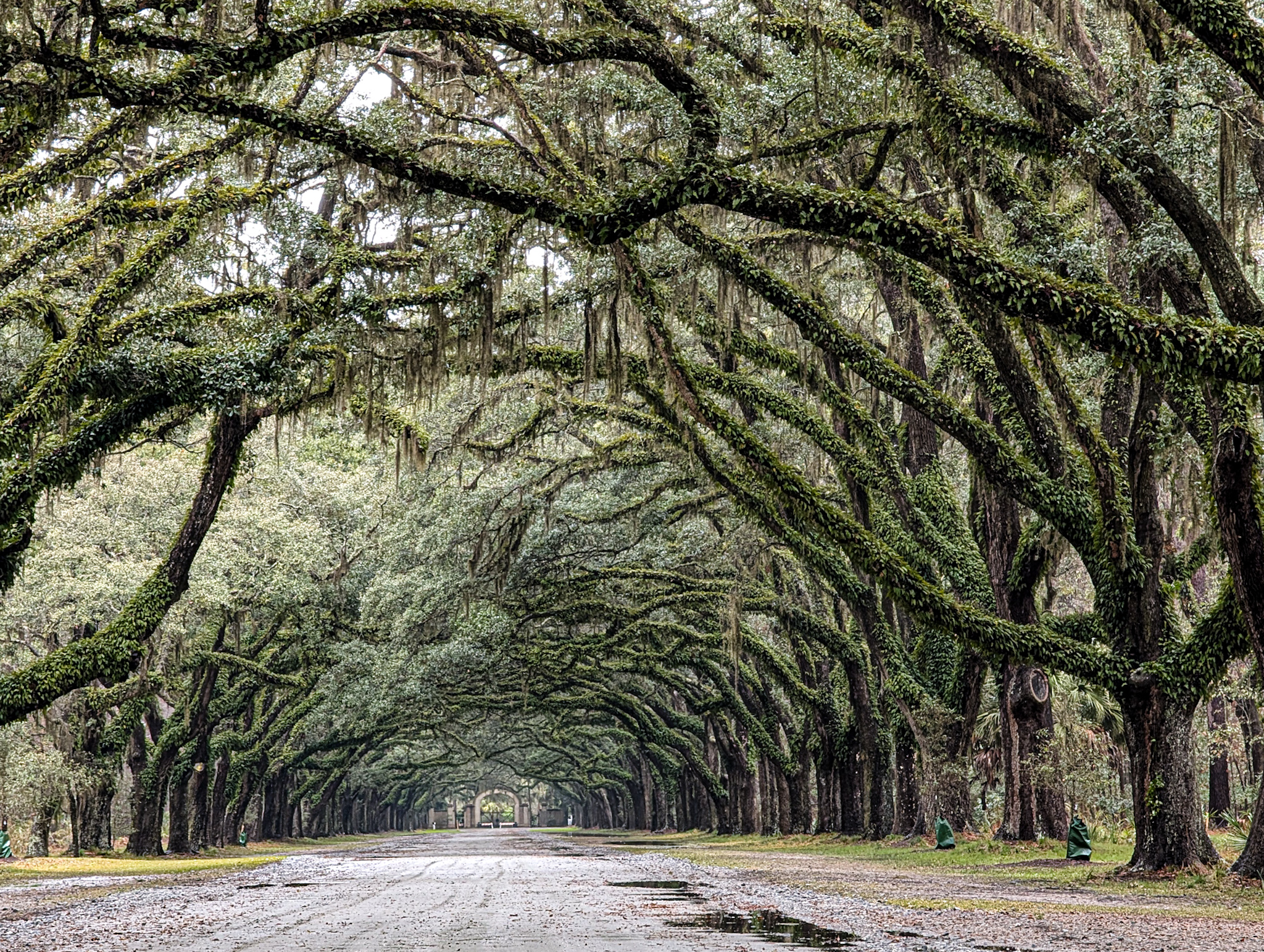 user avatar image for Mike Kuhl