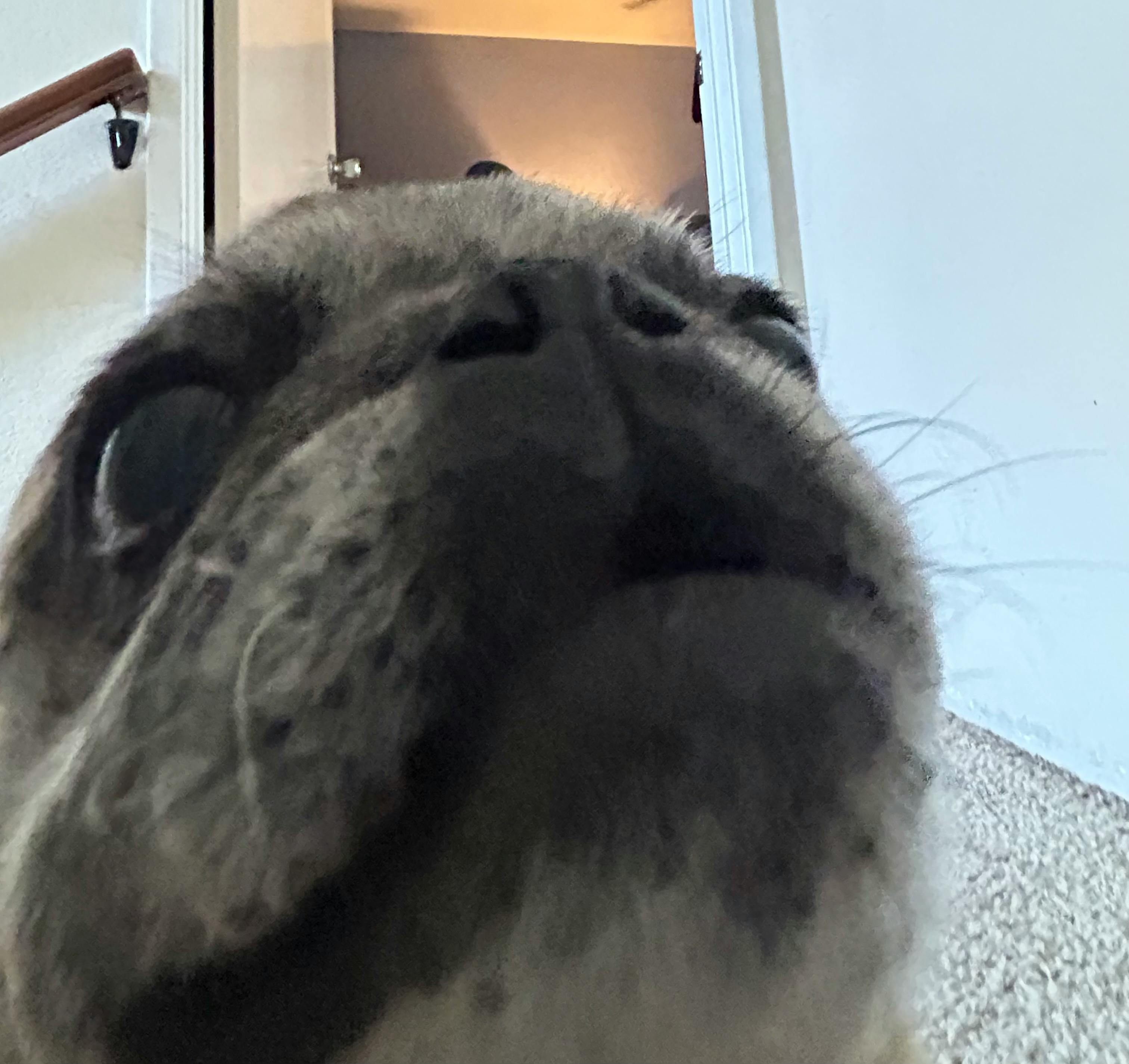 user avatar image for Eve