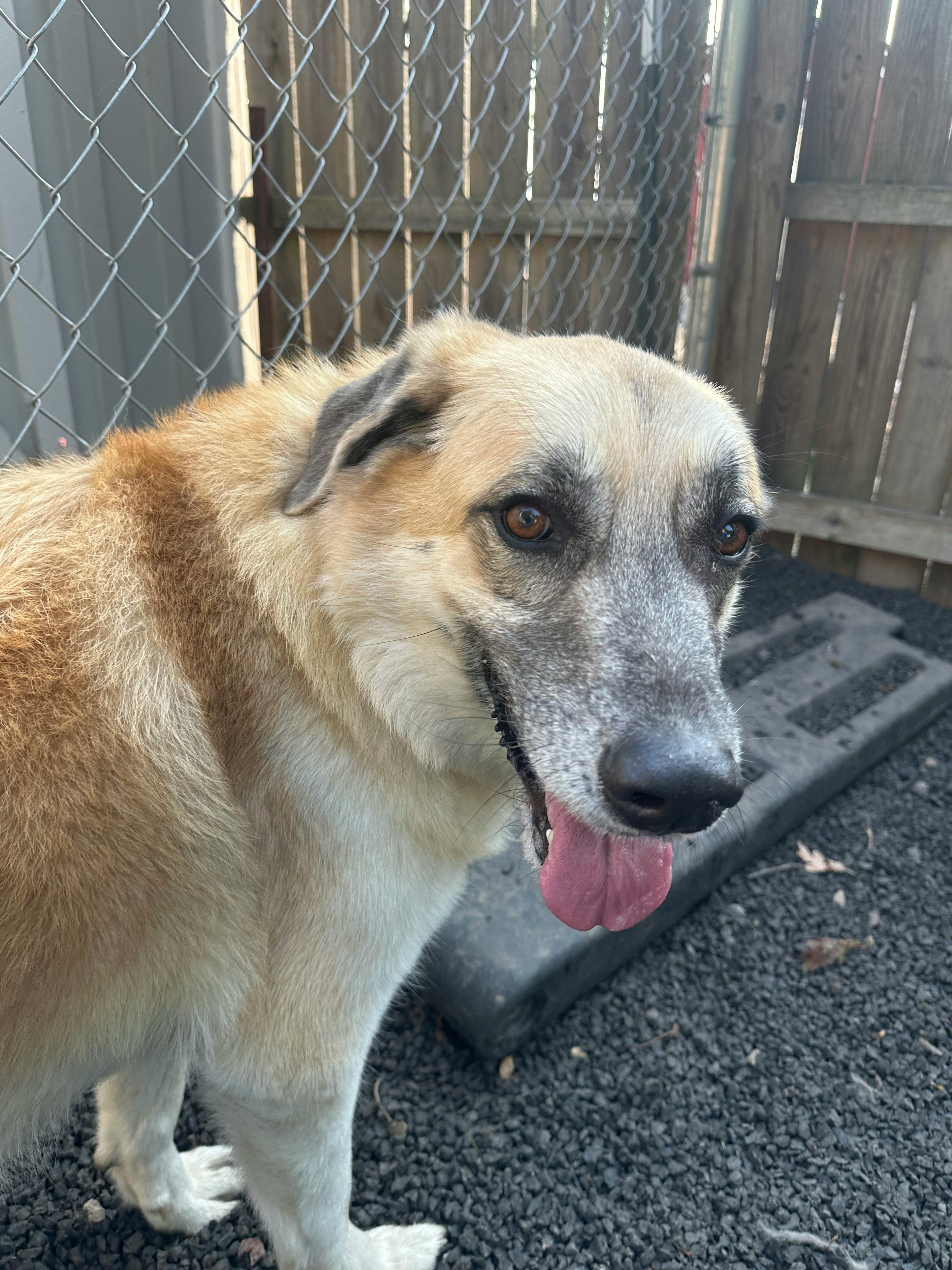 user avatar image for RyuokoWolf