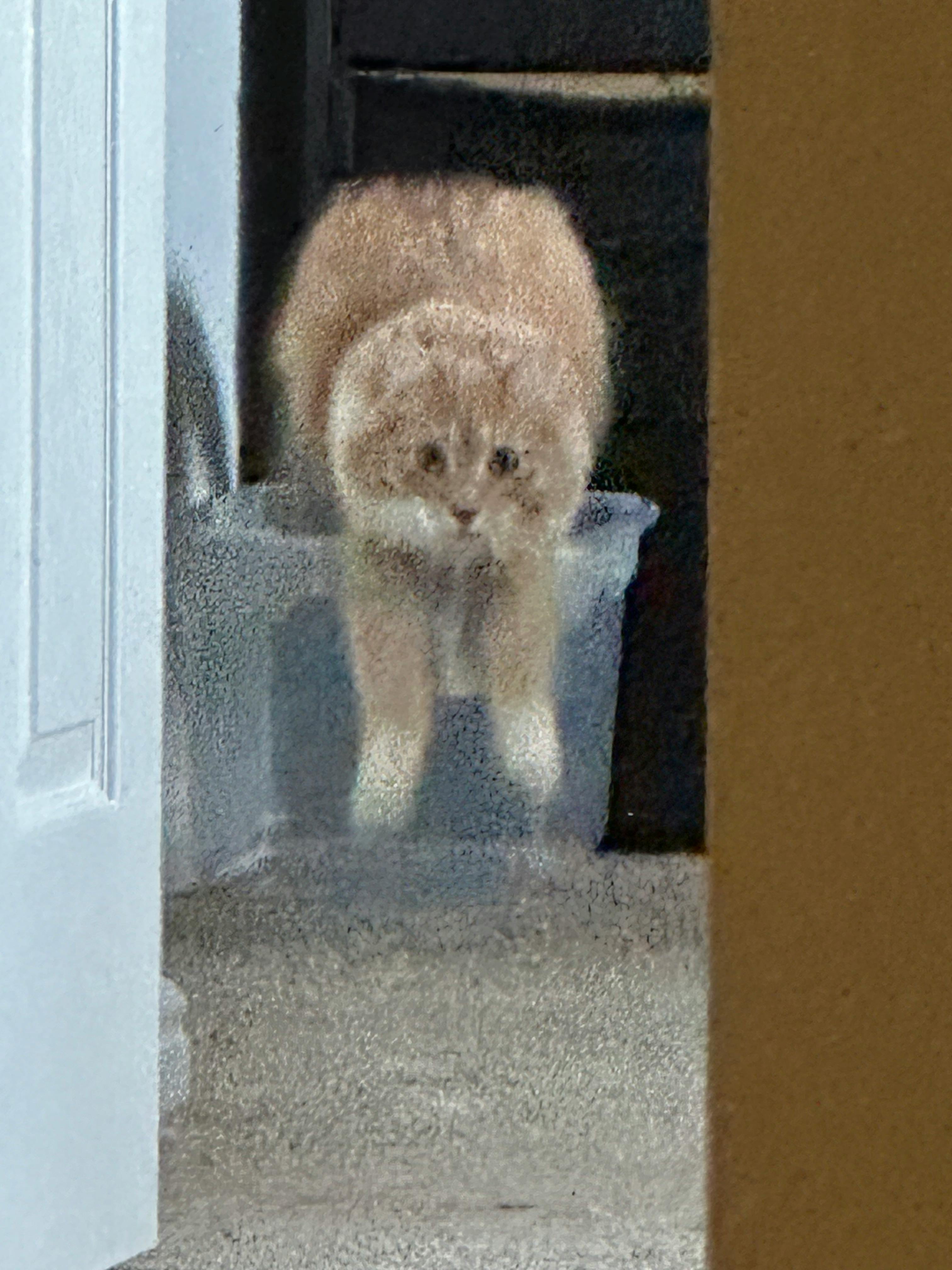 user avatar image for RampaginHobo