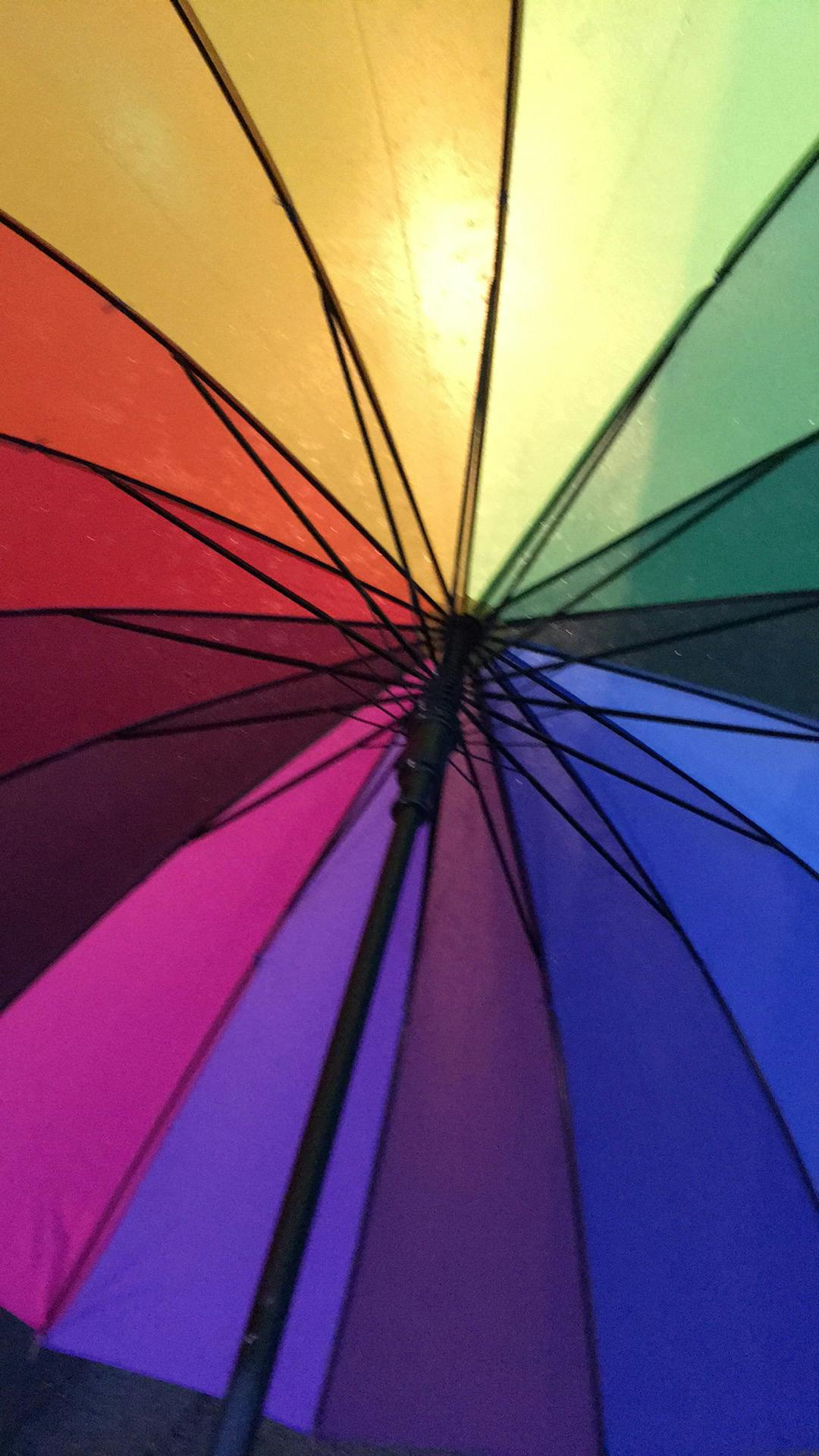 user avatar image for Kim Nohr