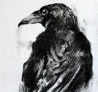 user avatar image for Marvin Hasenack