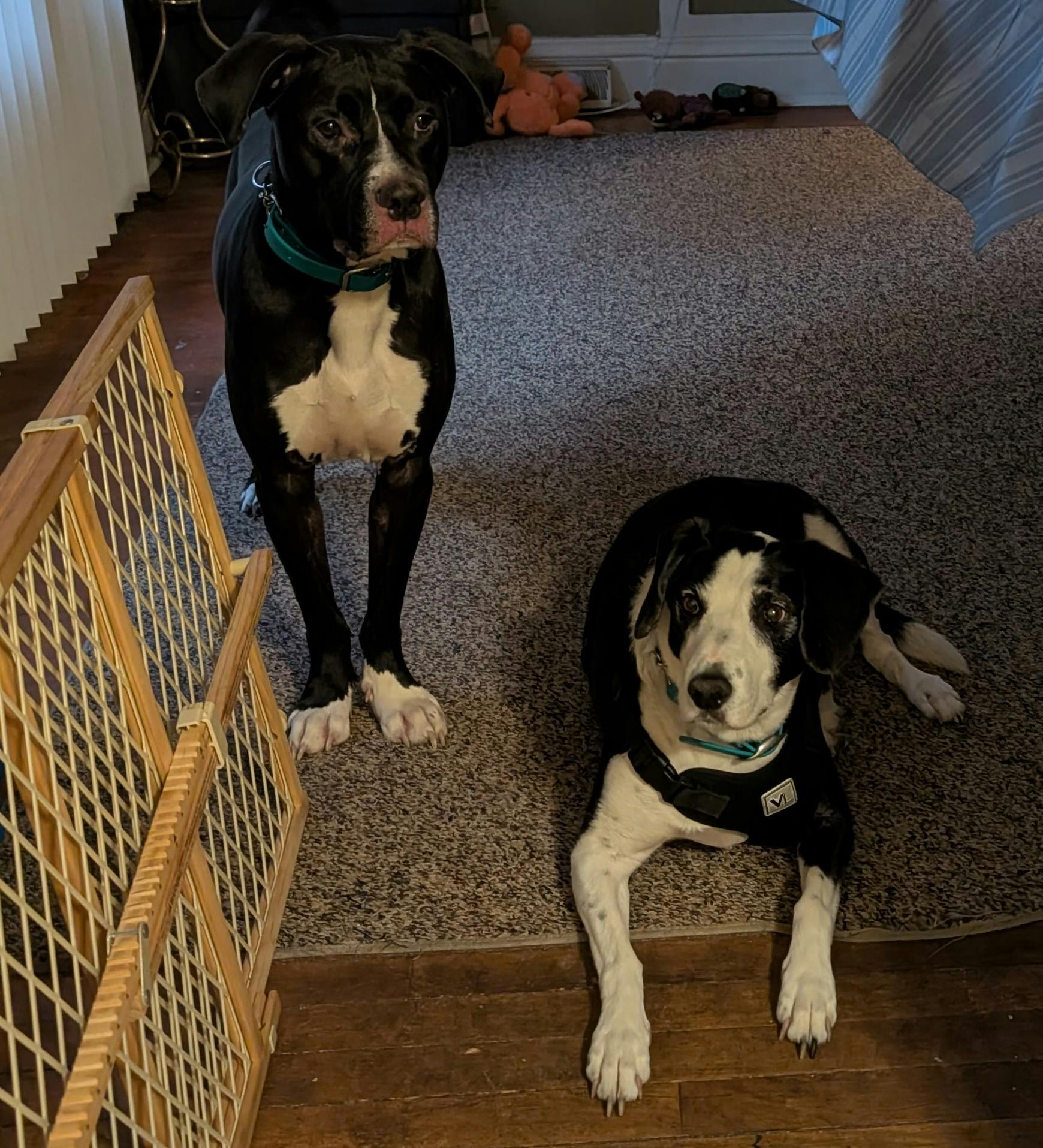 user avatar image for walkingdeadfreak