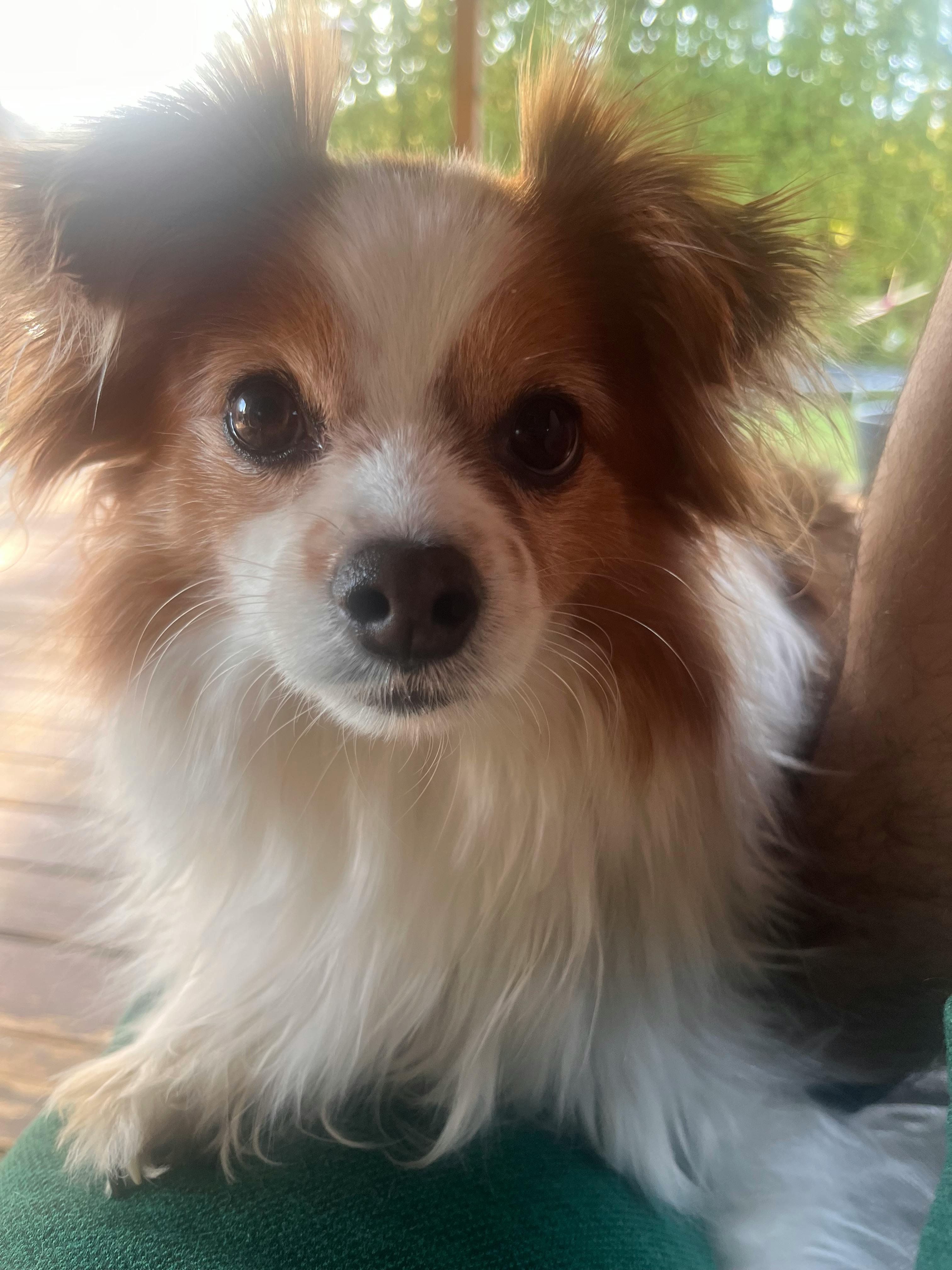 user avatar image for Erik Chipres