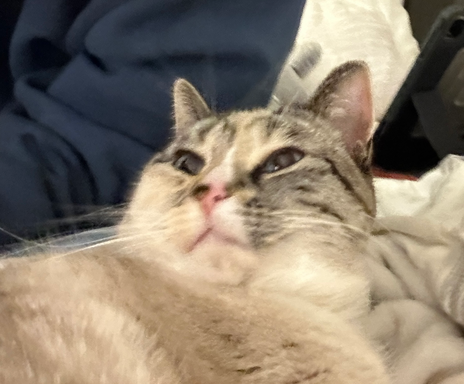 user avatar image for Madison Morin