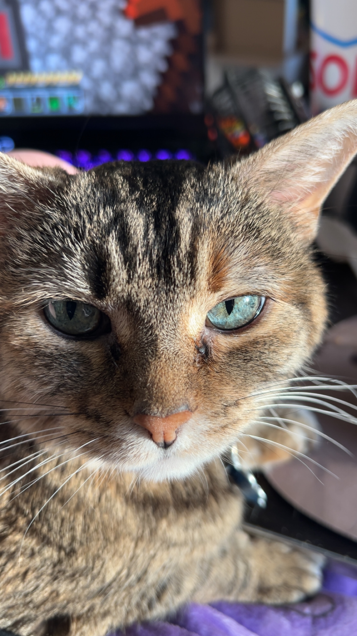user avatar image for Katelynn Sheets