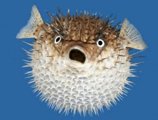 user avatar image for Greg