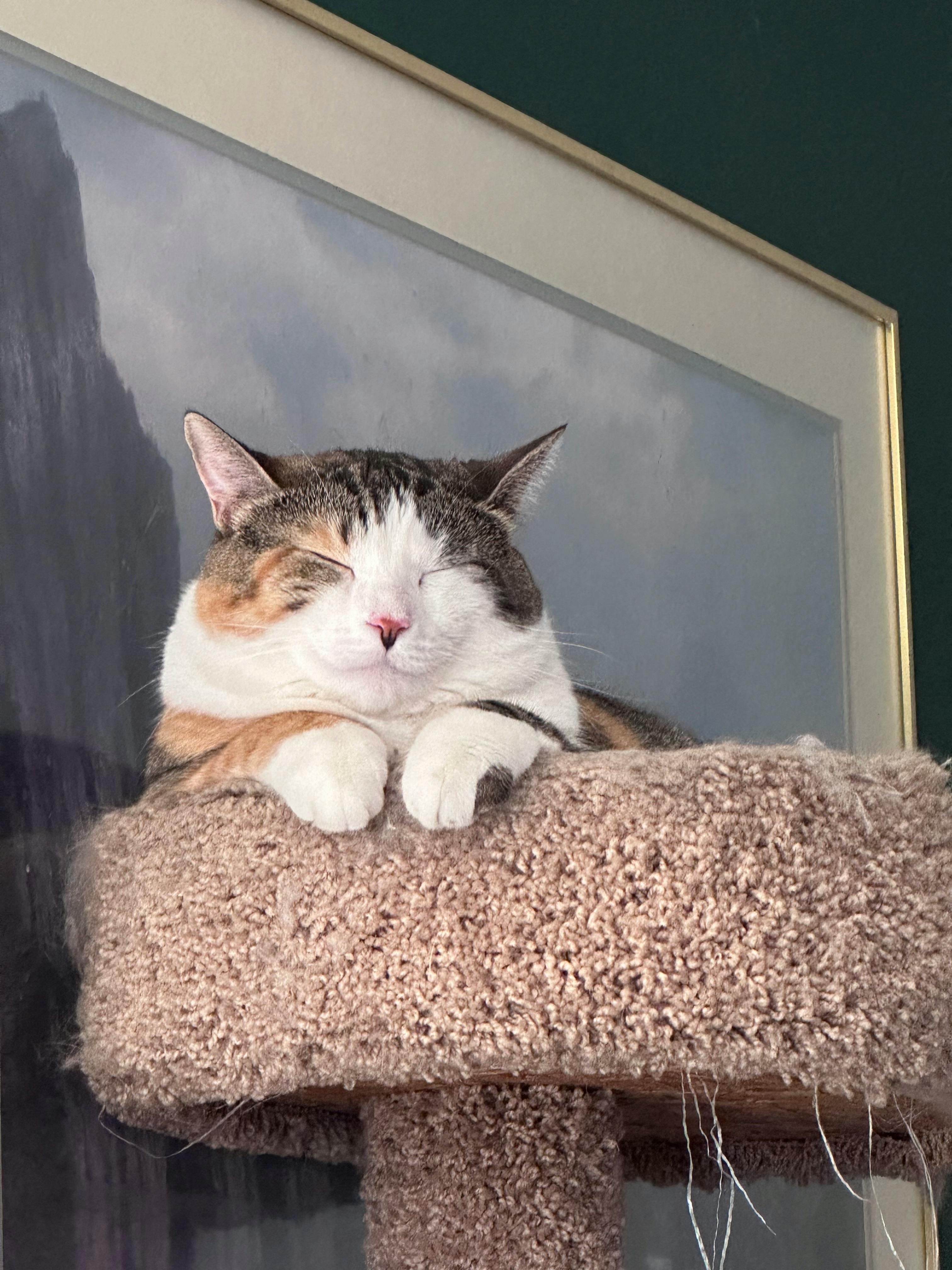 user avatar image for TJ Parker