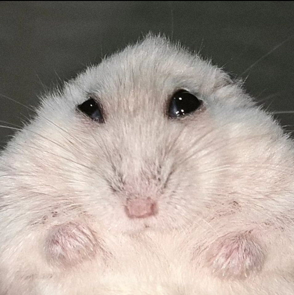 user avatar image for lissy