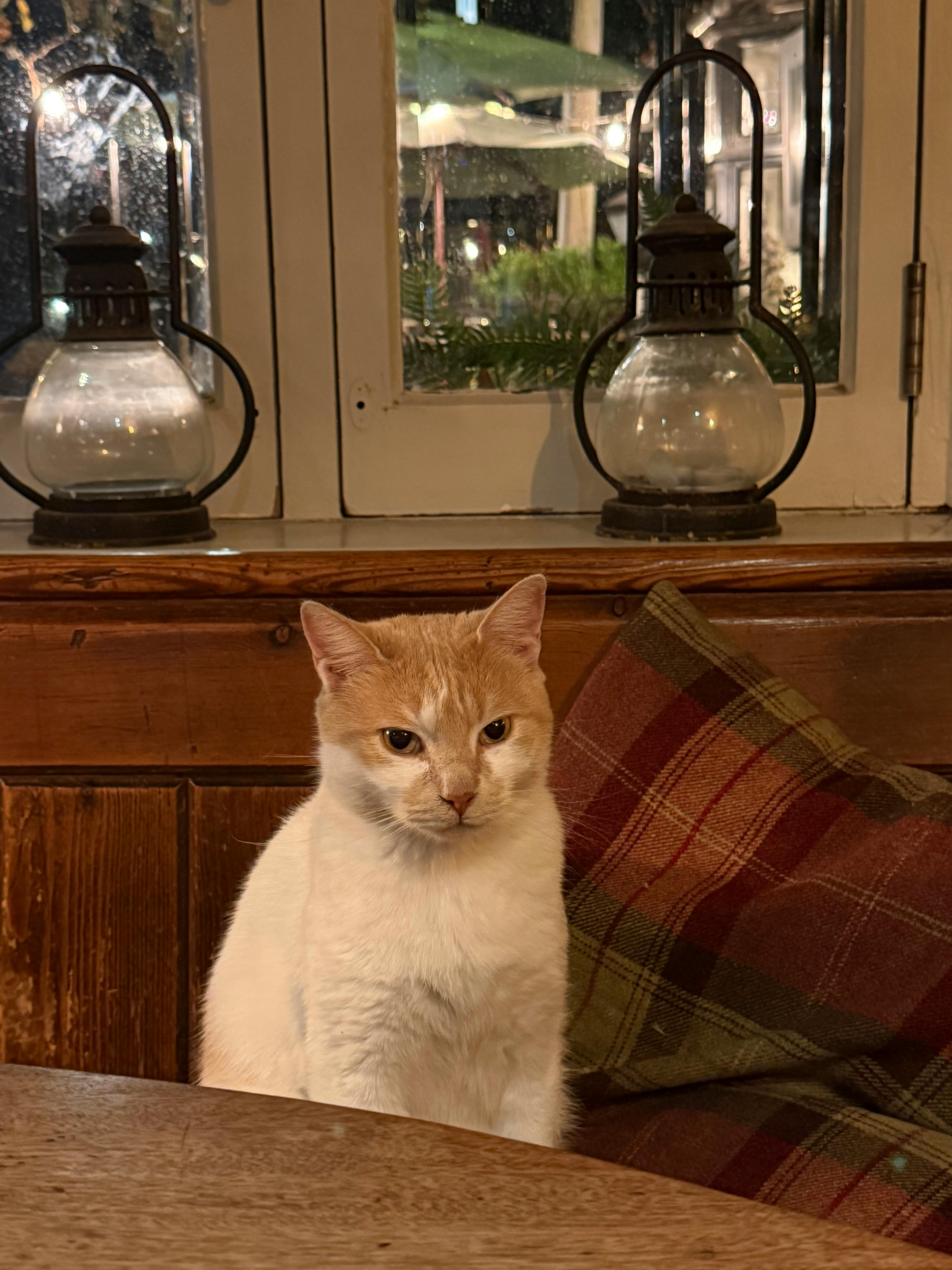 user avatar image for Finn