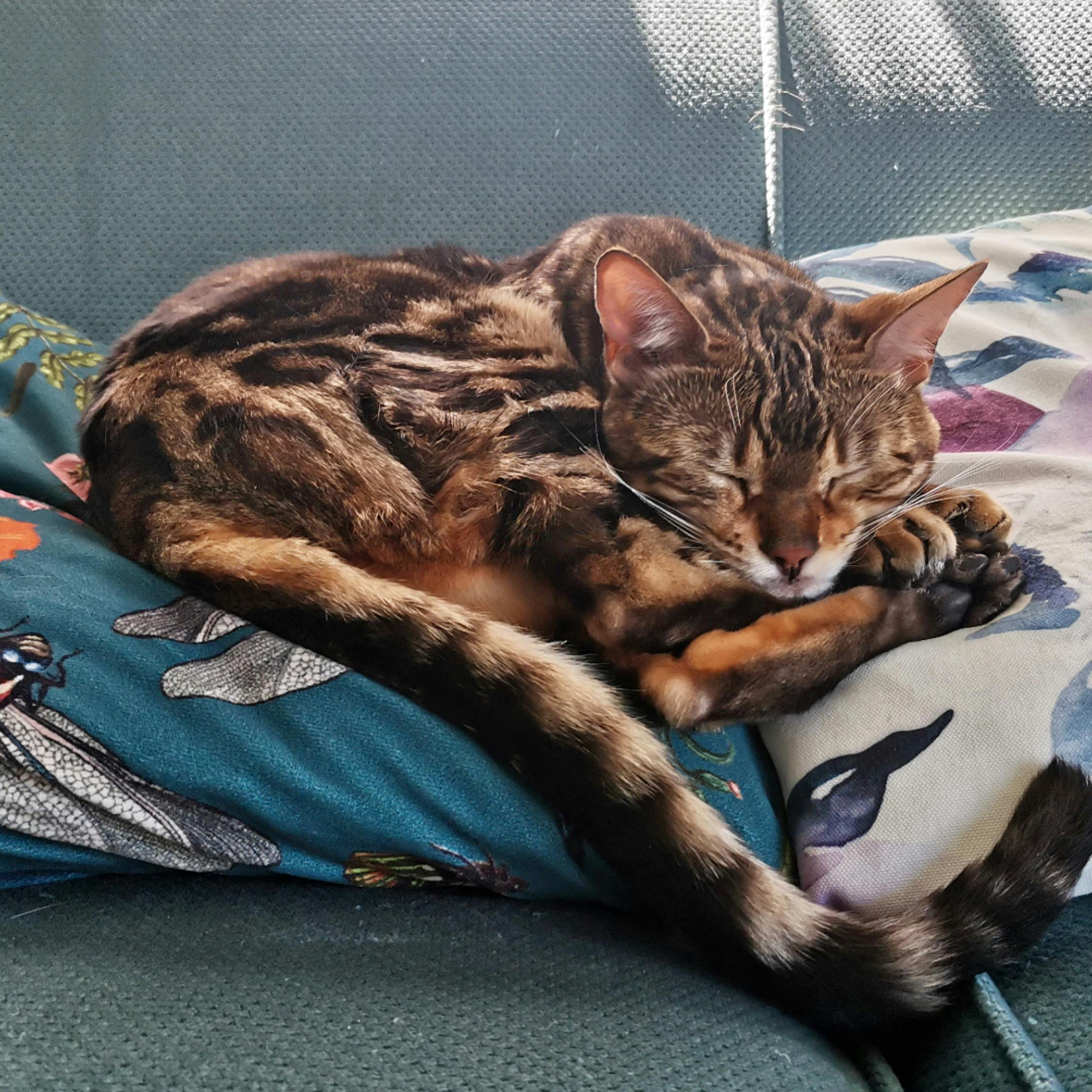 user avatar image for Sam Giles