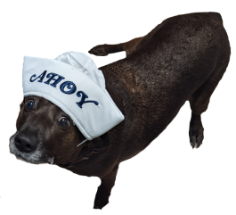 user avatar image for Cody