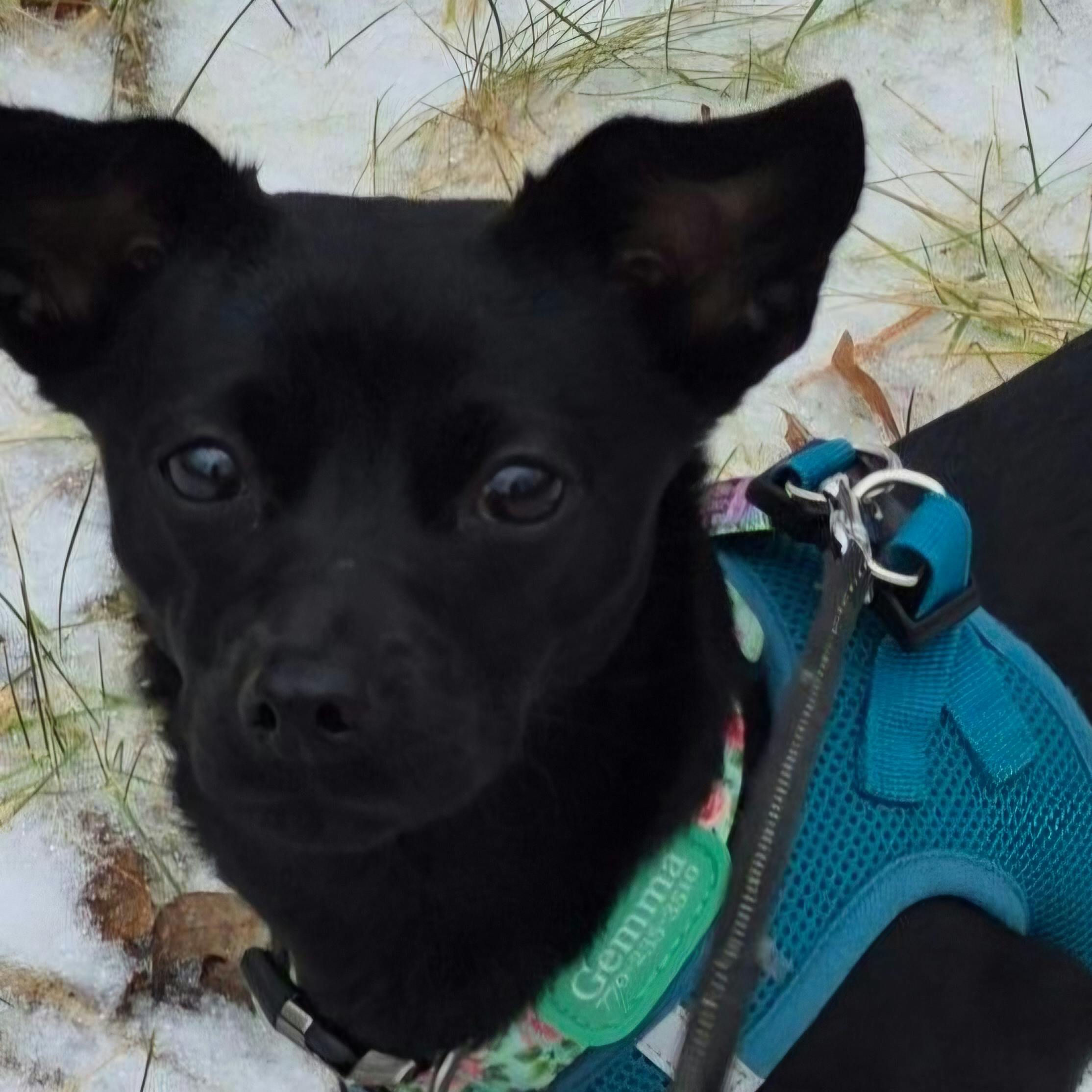 user avatar image for SCB