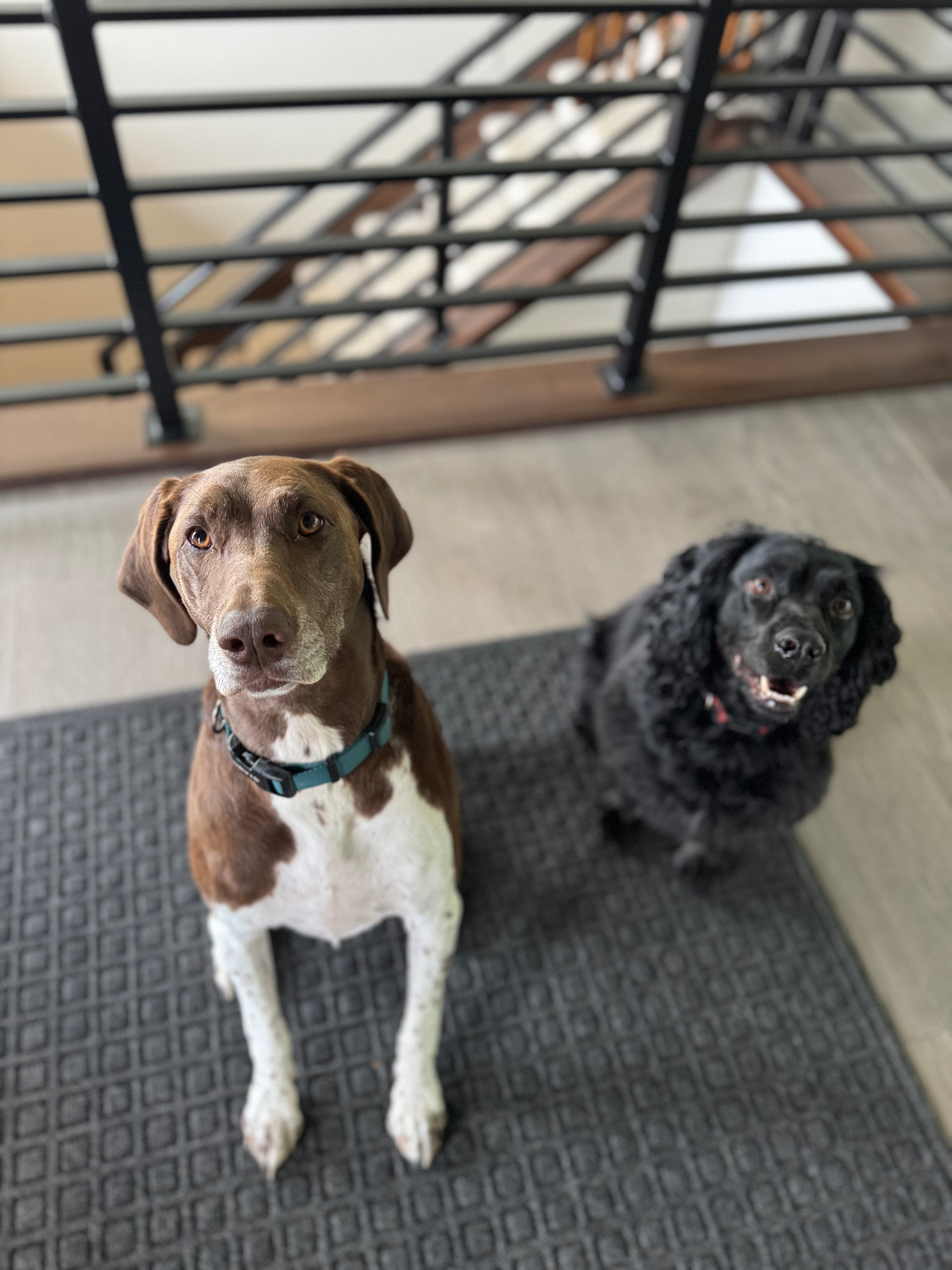 user avatar image for outofmayo